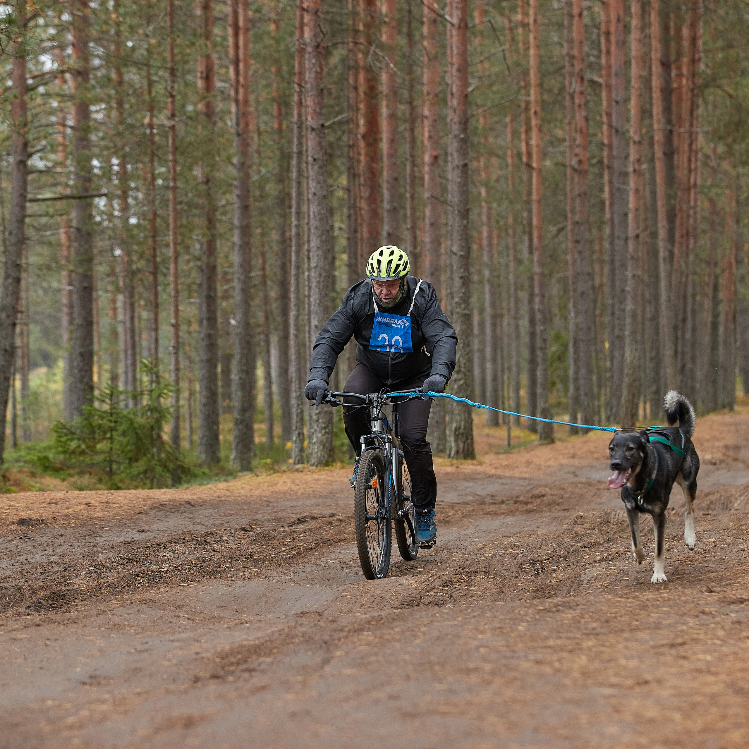 ЧЕМПИОНАТ РОССИИ РКФ 25–26 сентября 2021 г. ФОТОГРАФ-АНИМАЛИСТ l LANA POLYAKOVA