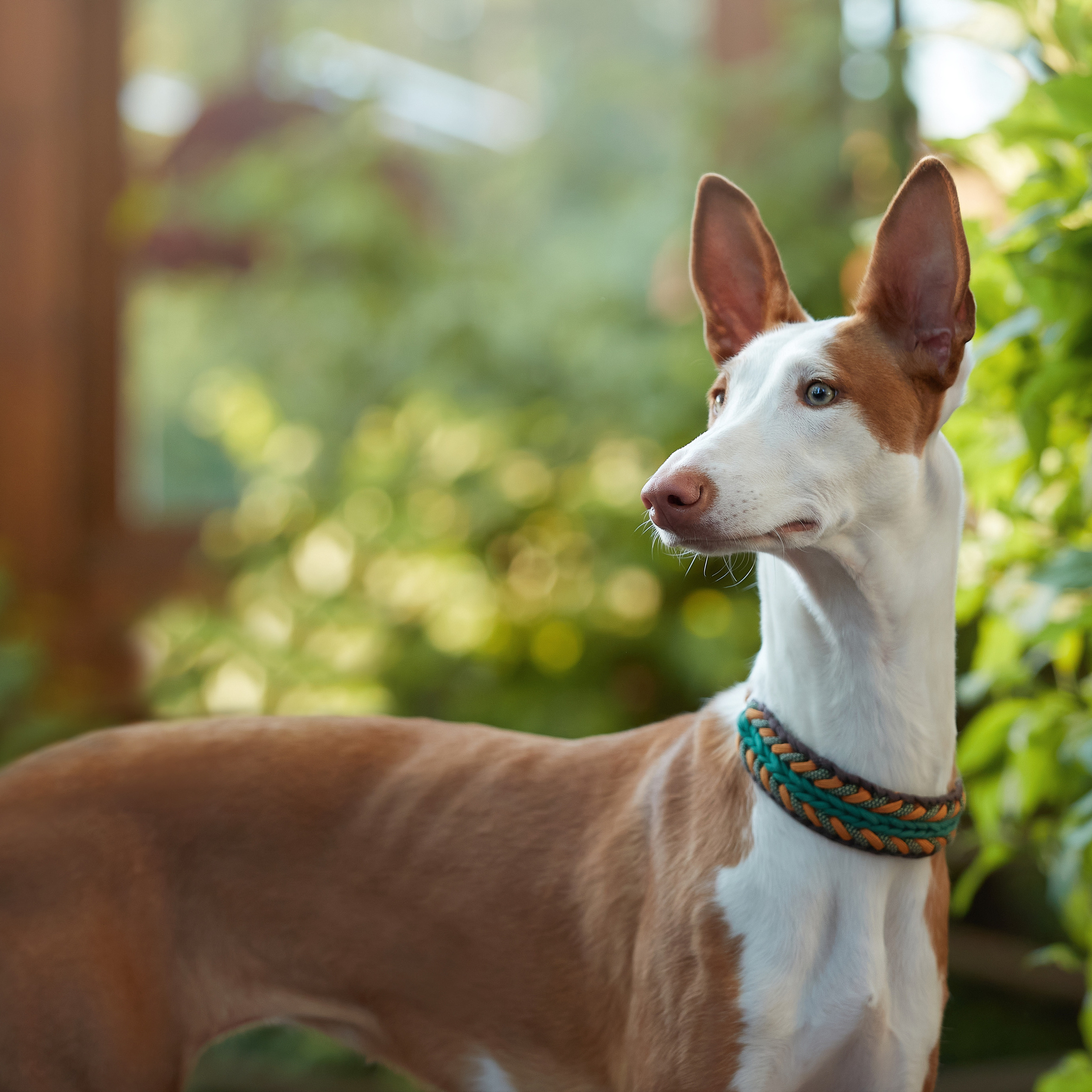 Фотопрогулка для Найроби. ФОТОГРАФ-АНИМАЛИСТ l LANA POLYAKOVA