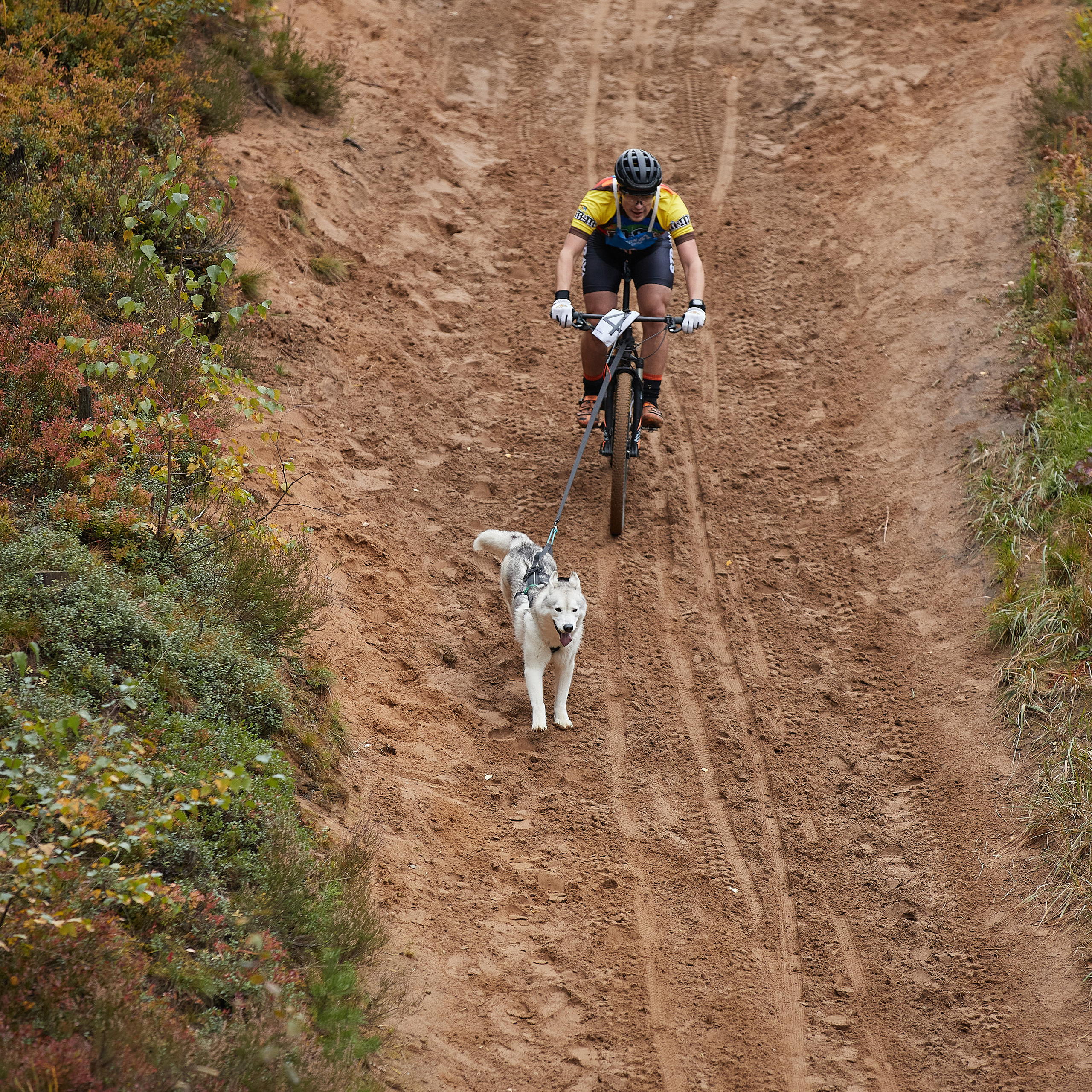 ЧЕМПИОНАТ РОССИИ РКФ 25–26 сентября 2021 г. ФОТОГРАФ-АНИМАЛИСТ l LANA POLYAKOVA