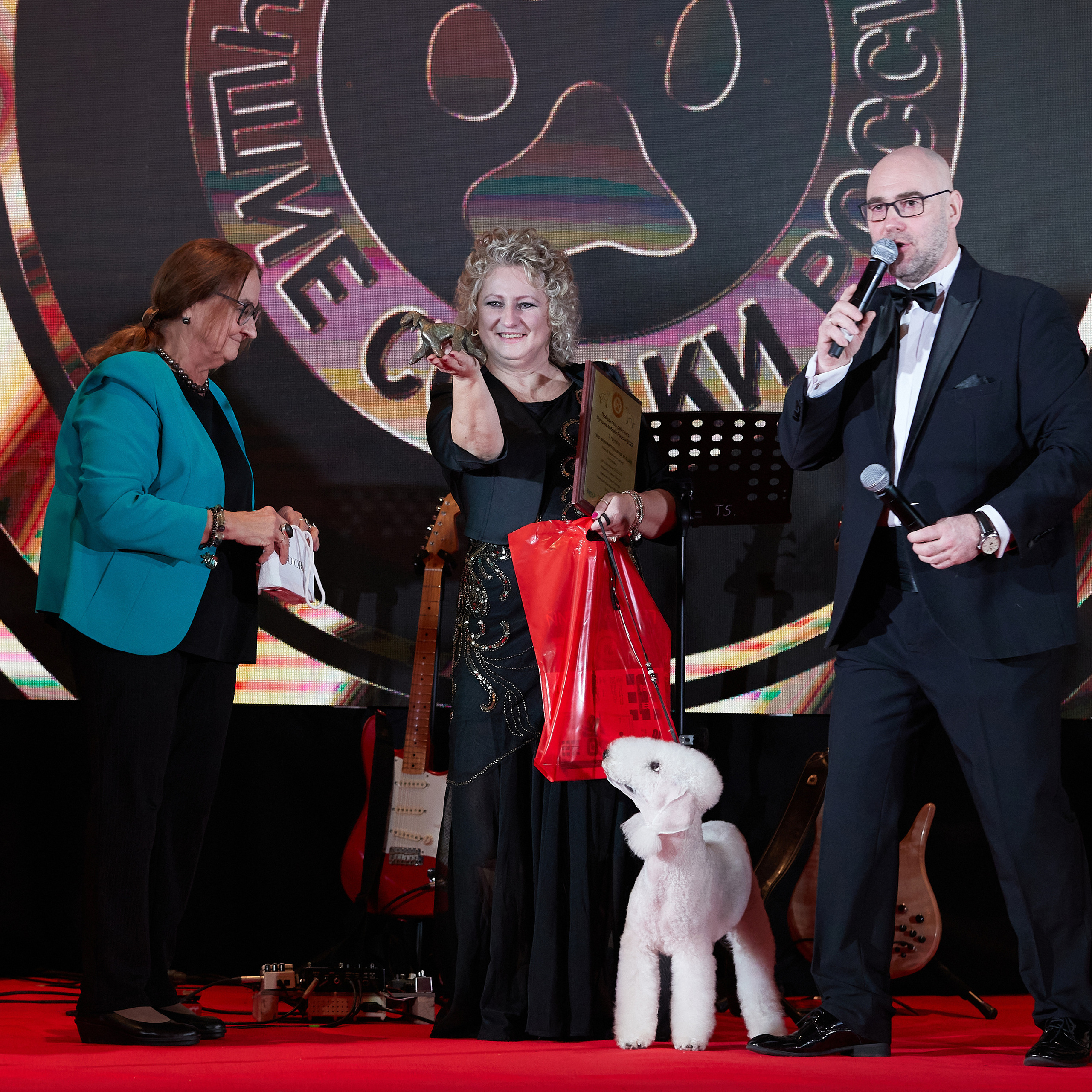 Репортаж с церемонии «BEST RUSSIAN DOG 2022». ФОТОГРАФ-АНИМАЛИСТ l LANA POLYAKOVA