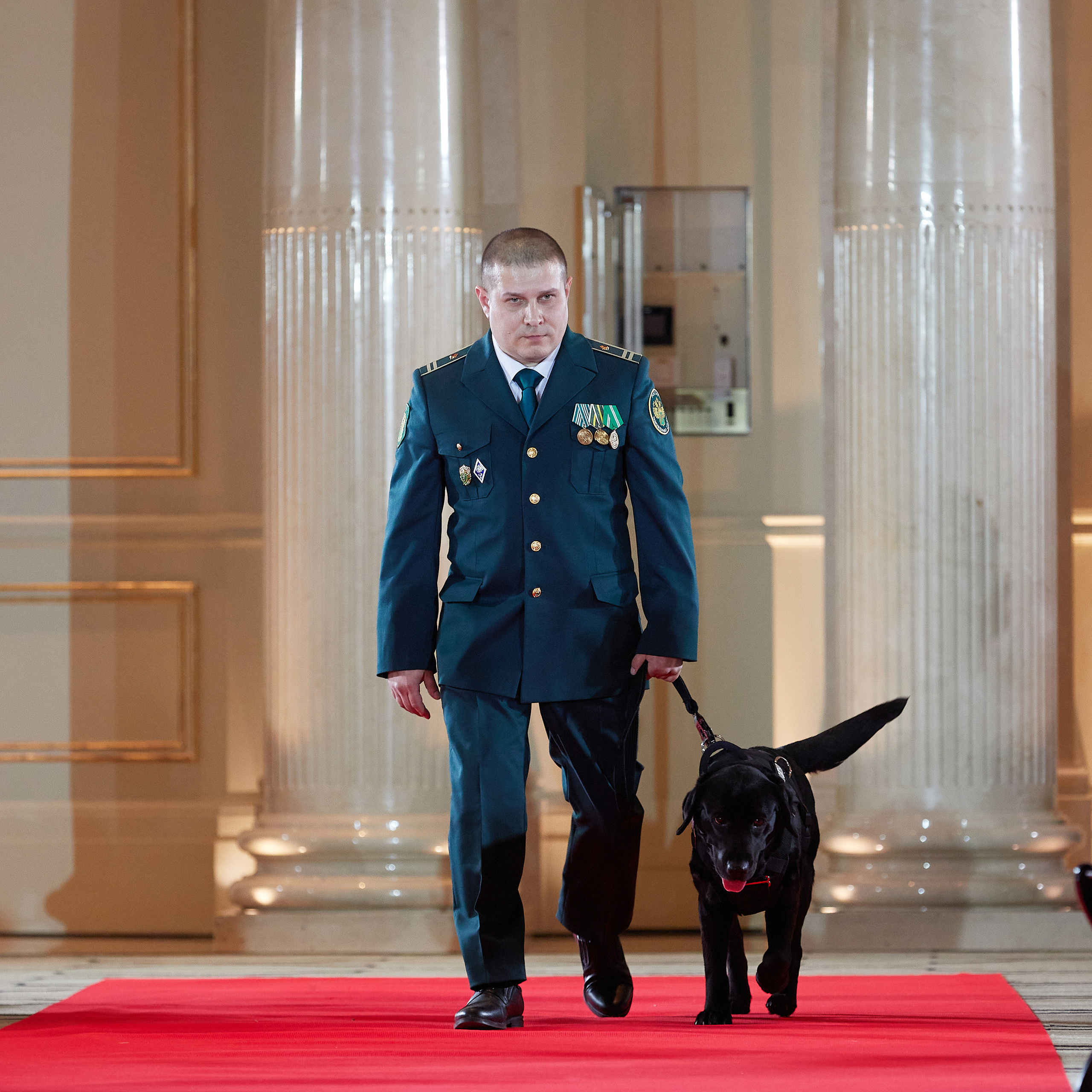 Репортаж с церемонии «BEST RUSSIAN DOG 2022». ФОТОГРАФ-АНИМАЛИСТ l LANA POLYAKOVA