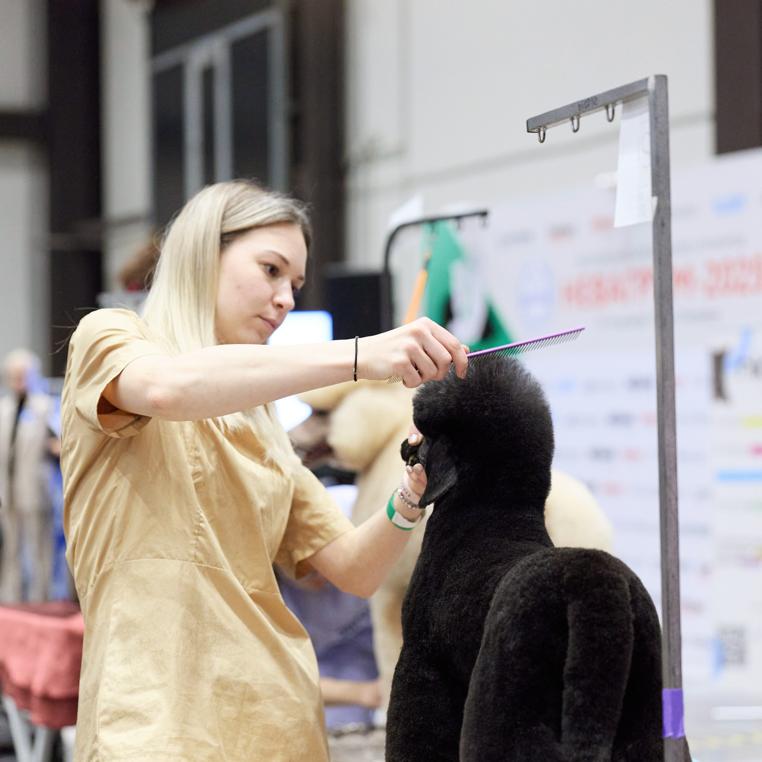 ВЫСТАВКА СОБАК С ОСОБЫМ СТАТУСОМ «НЕВСКИЙ ПОБЕДИТЕЛЬ» 12-13-14.12.2025. ФОТОГРАФ-АНИМАЛИСТ l LANA POLYAKOVA