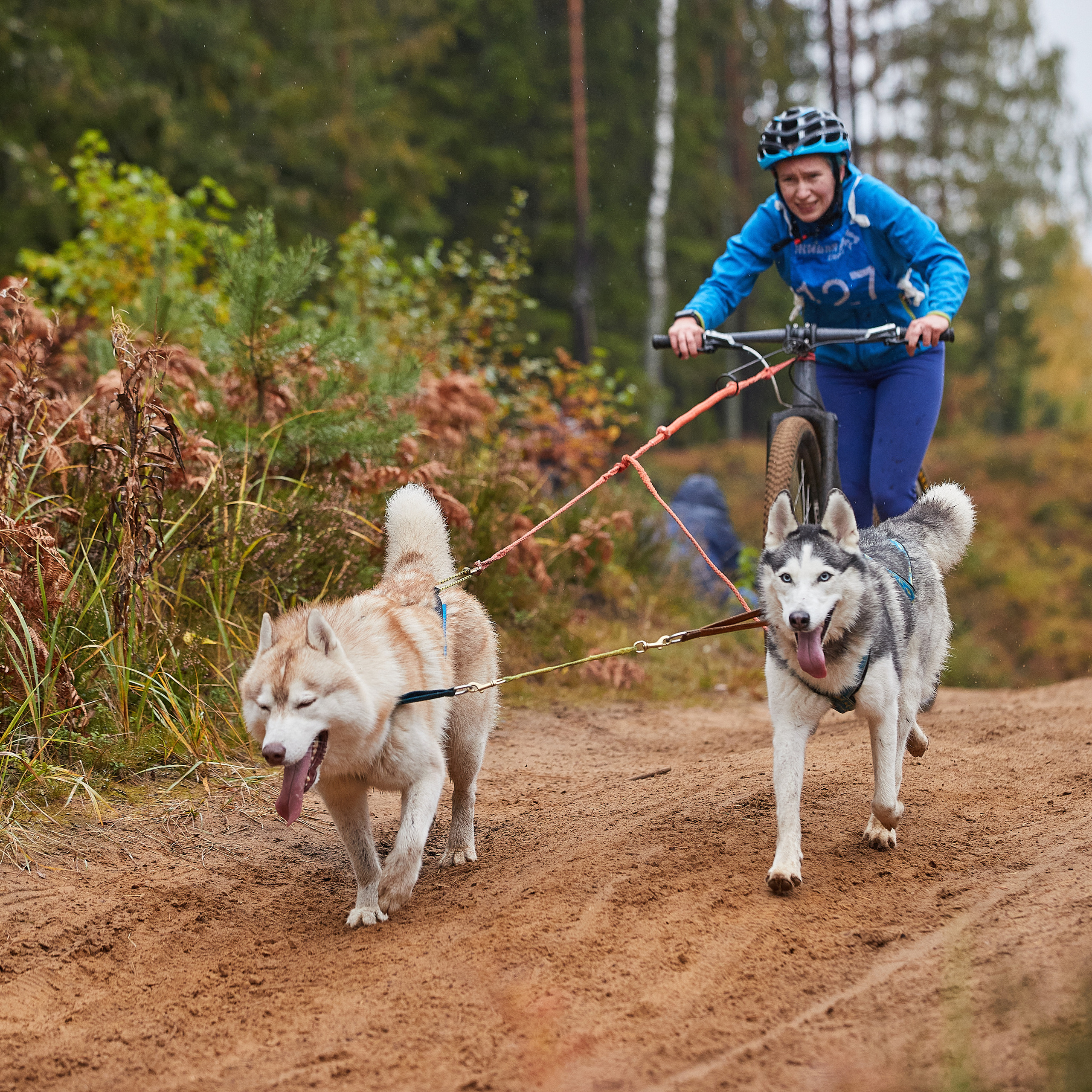 ЧЕМПИОНАТ РОССИИ РКФ 25–26 сентября 2021 г. ФОТОГРАФ-АНИМАЛИСТ l LANA POLYAKOVA