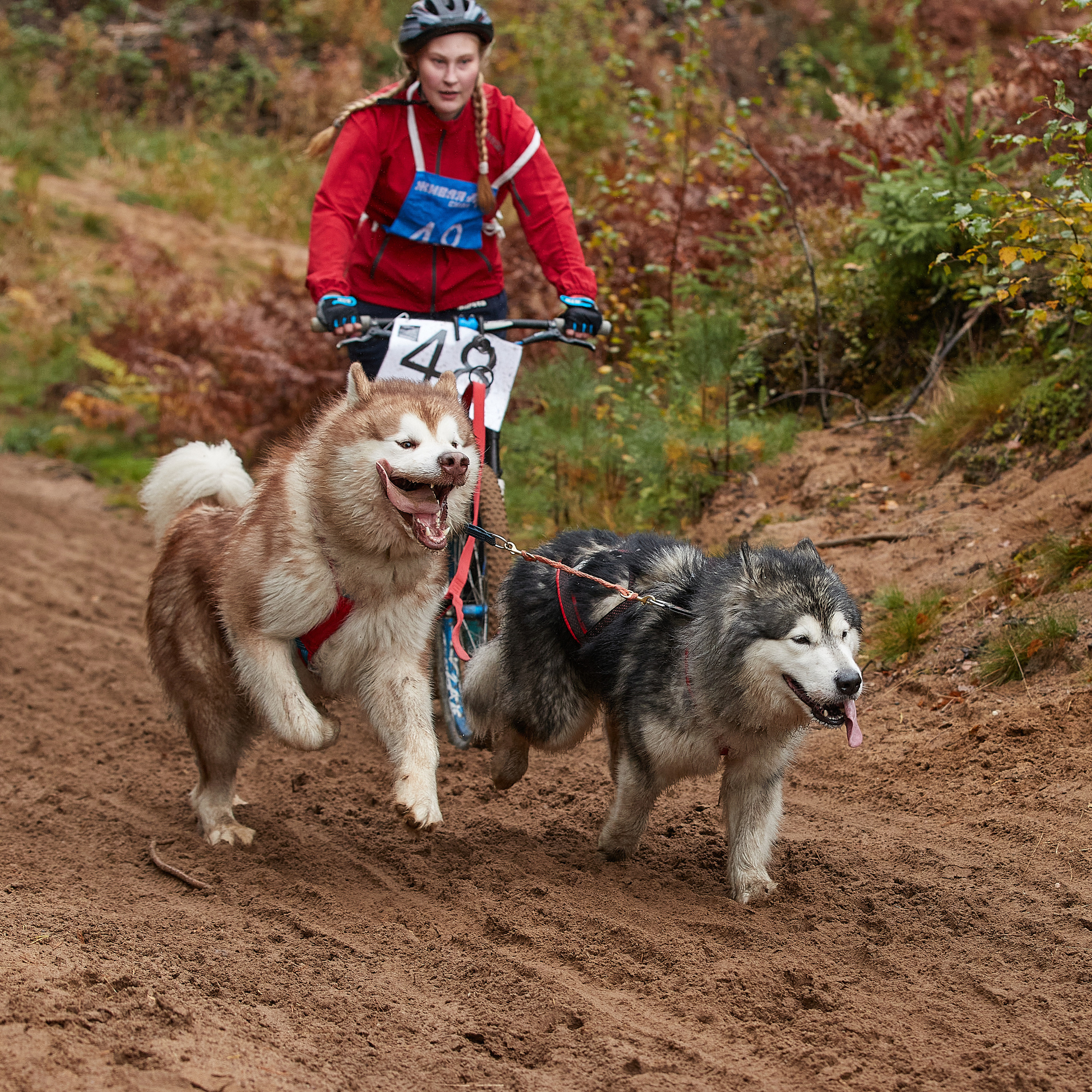 ЧЕМПИОНАТ РОССИИ РКФ 25–26 сентября 2021 г. ФОТОГРАФ-АНИМАЛИСТ l LANA POLYAKOVA