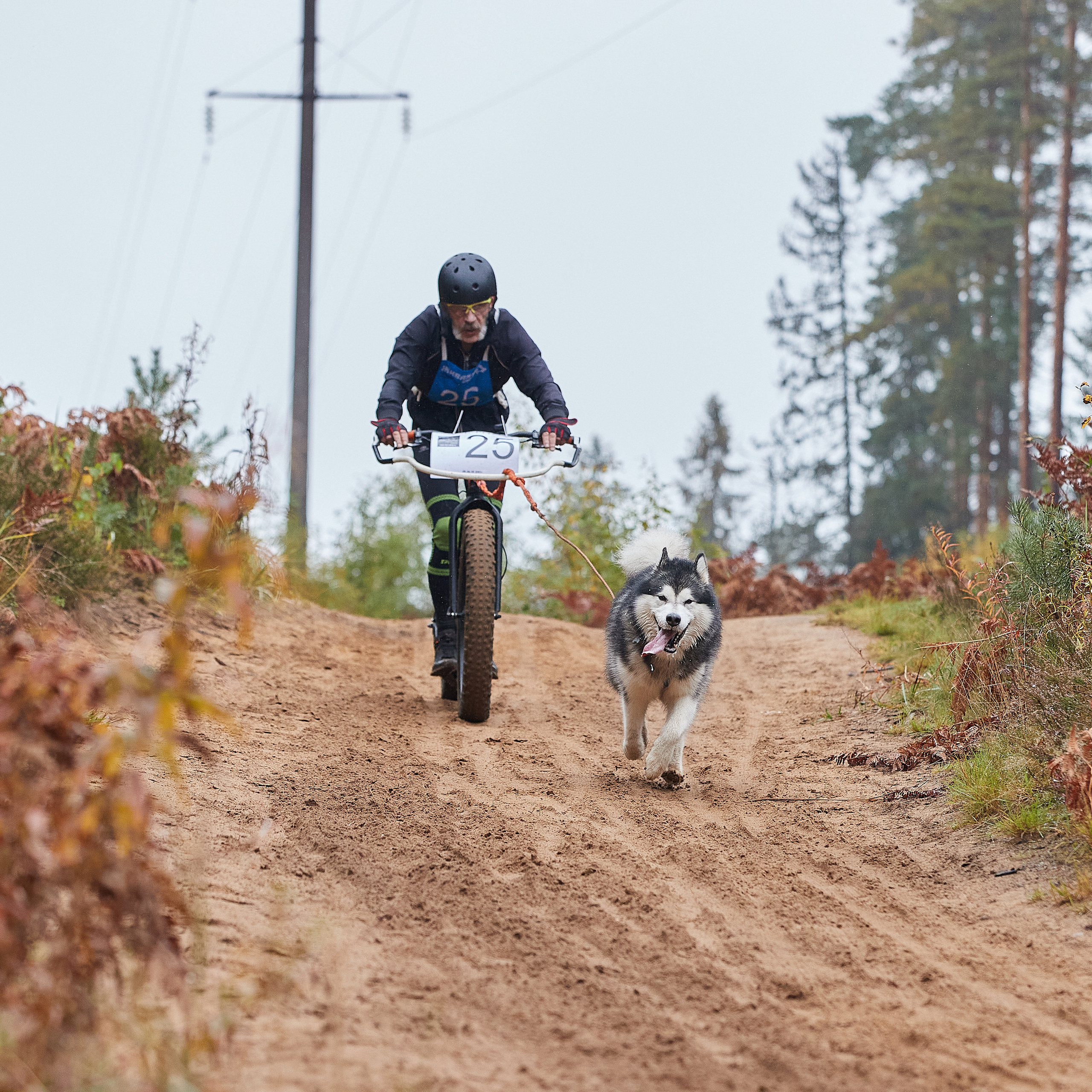 ЧЕМПИОНАТ РОССИИ РКФ 25–26 сентября 2021 г. ФОТОГРАФ-АНИМАЛИСТ l LANA POLYAKOVA