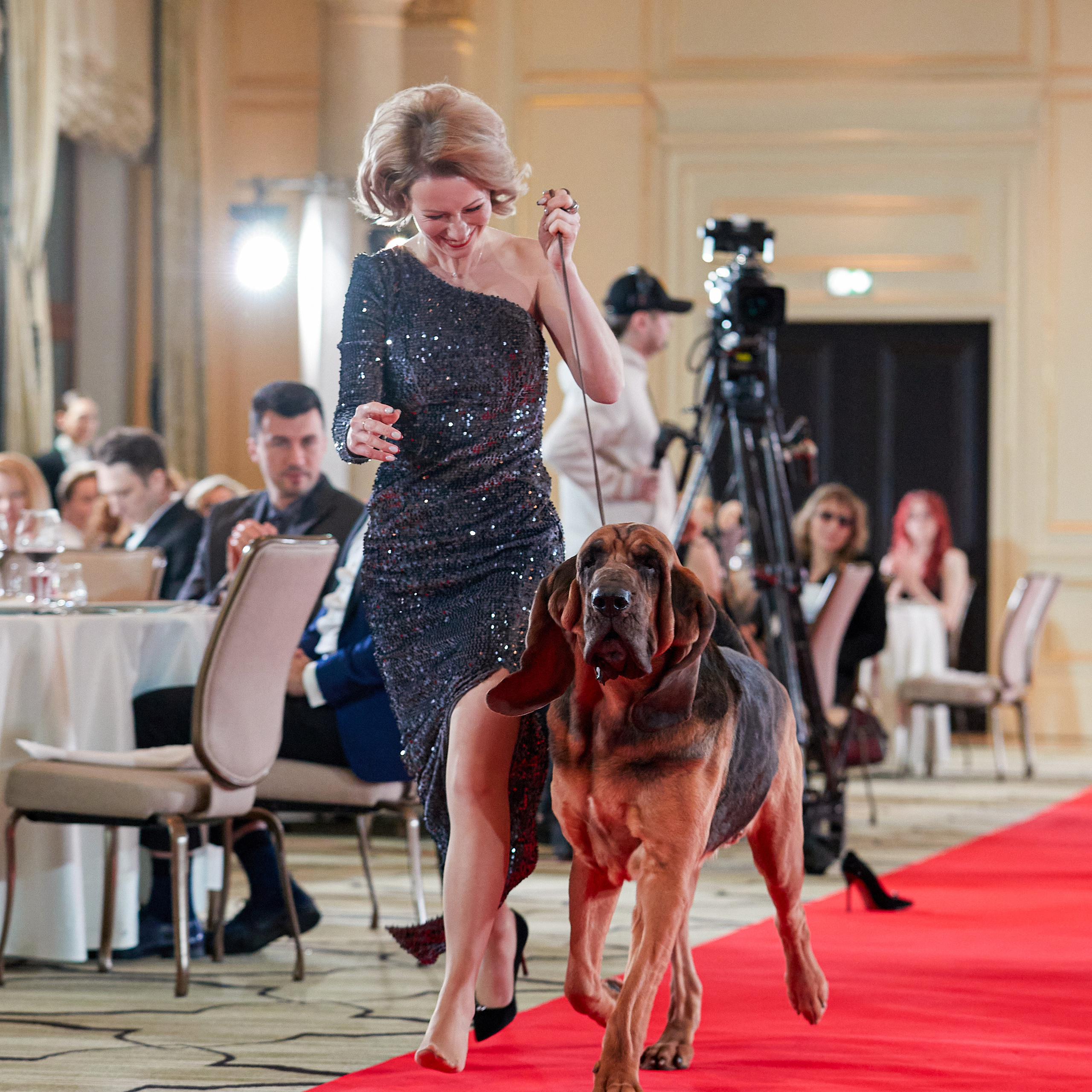 Репортаж с церемонии «BEST RUSSIAN DOG 2022». ФОТОГРАФ-АНИМАЛИСТ l LANA POLYAKOVA