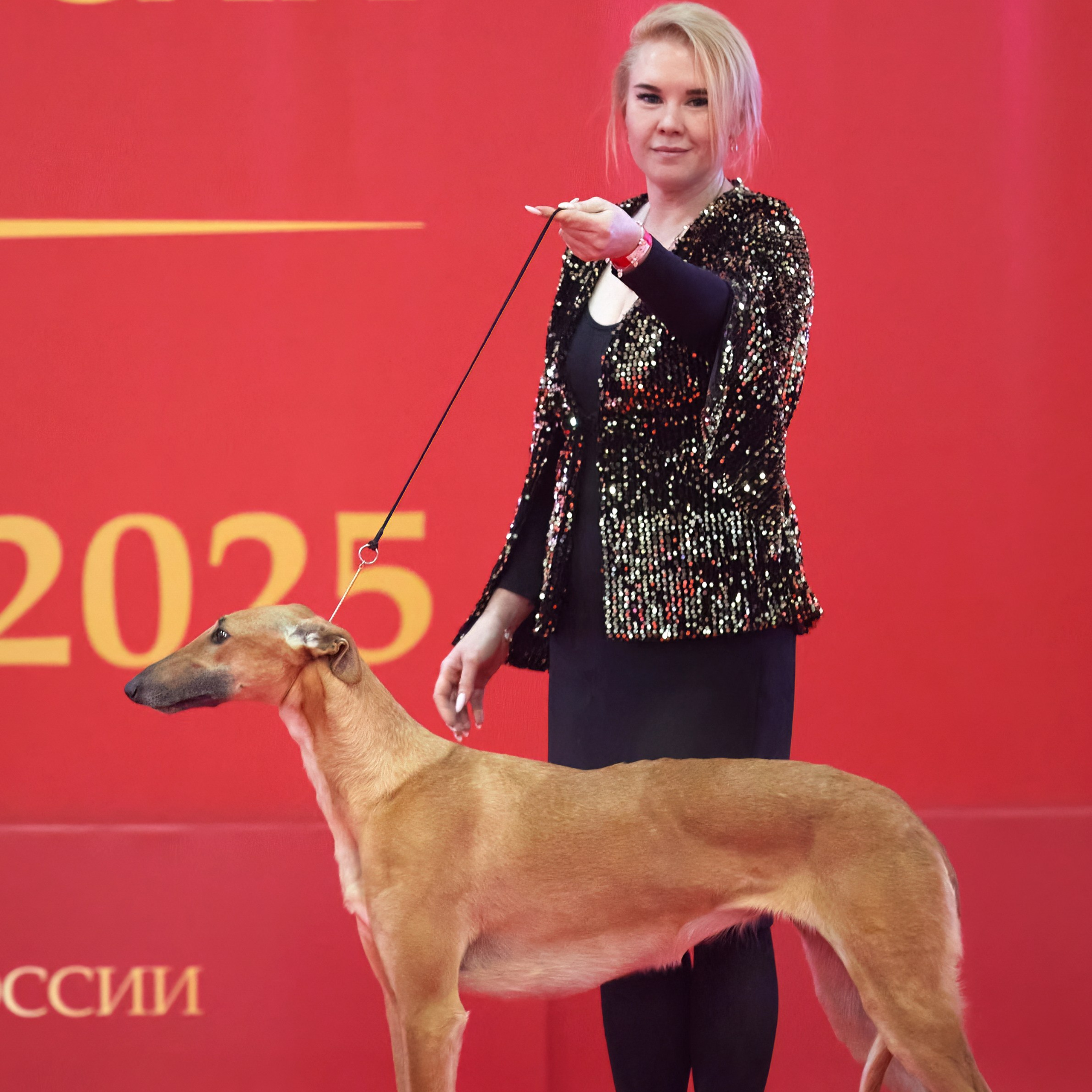 Шоу чемпионов «ЛУЧШИЕ СОБАКИ РОССИИ». ФОТОГРАФ-АНИМАЛИСТ l LANA POLYAKOVA
