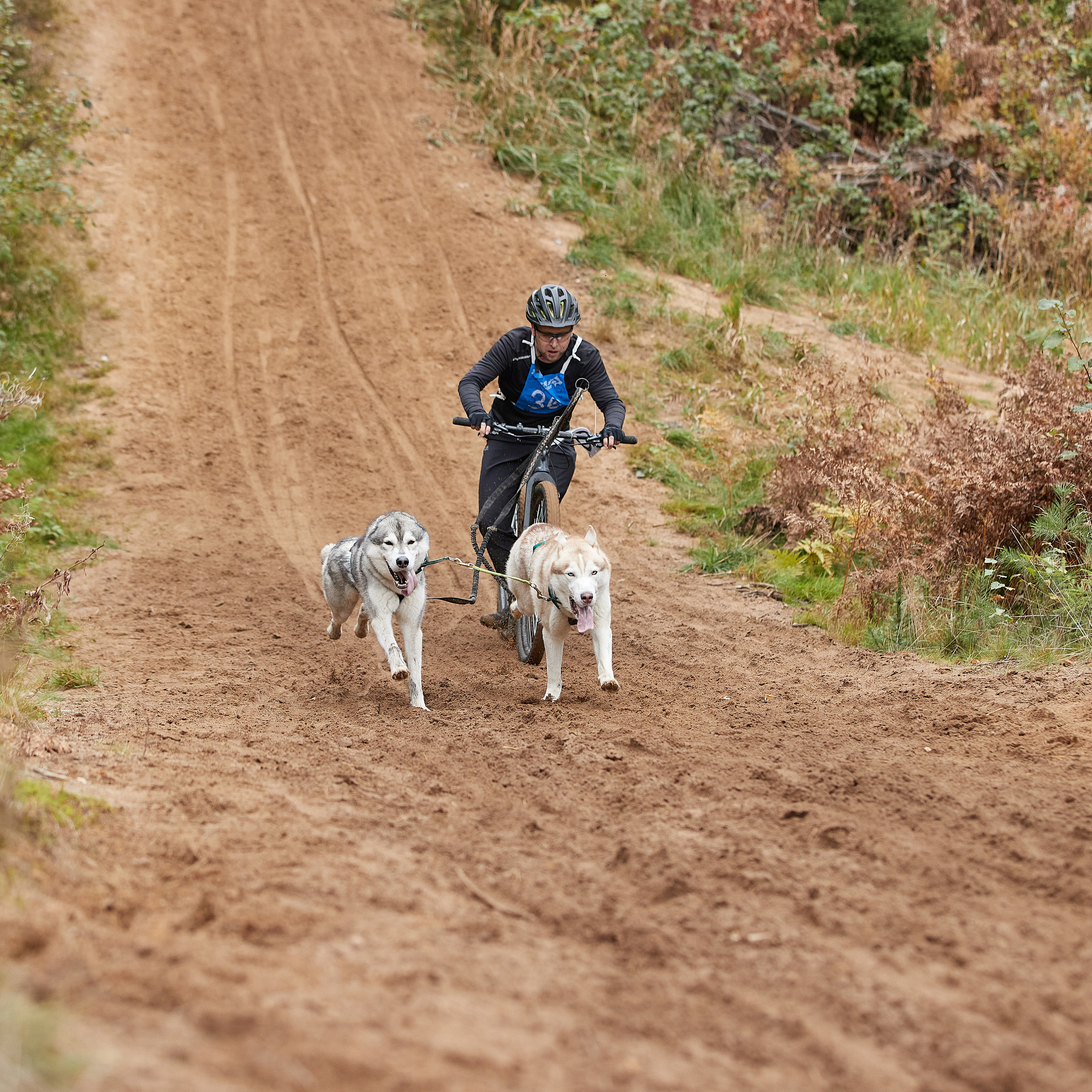 ЧЕМПИОНАТ РОССИИ РКФ 25–26 сентября 2021 г. ФОТОГРАФ-АНИМАЛИСТ l LANA POLYAKOVA
