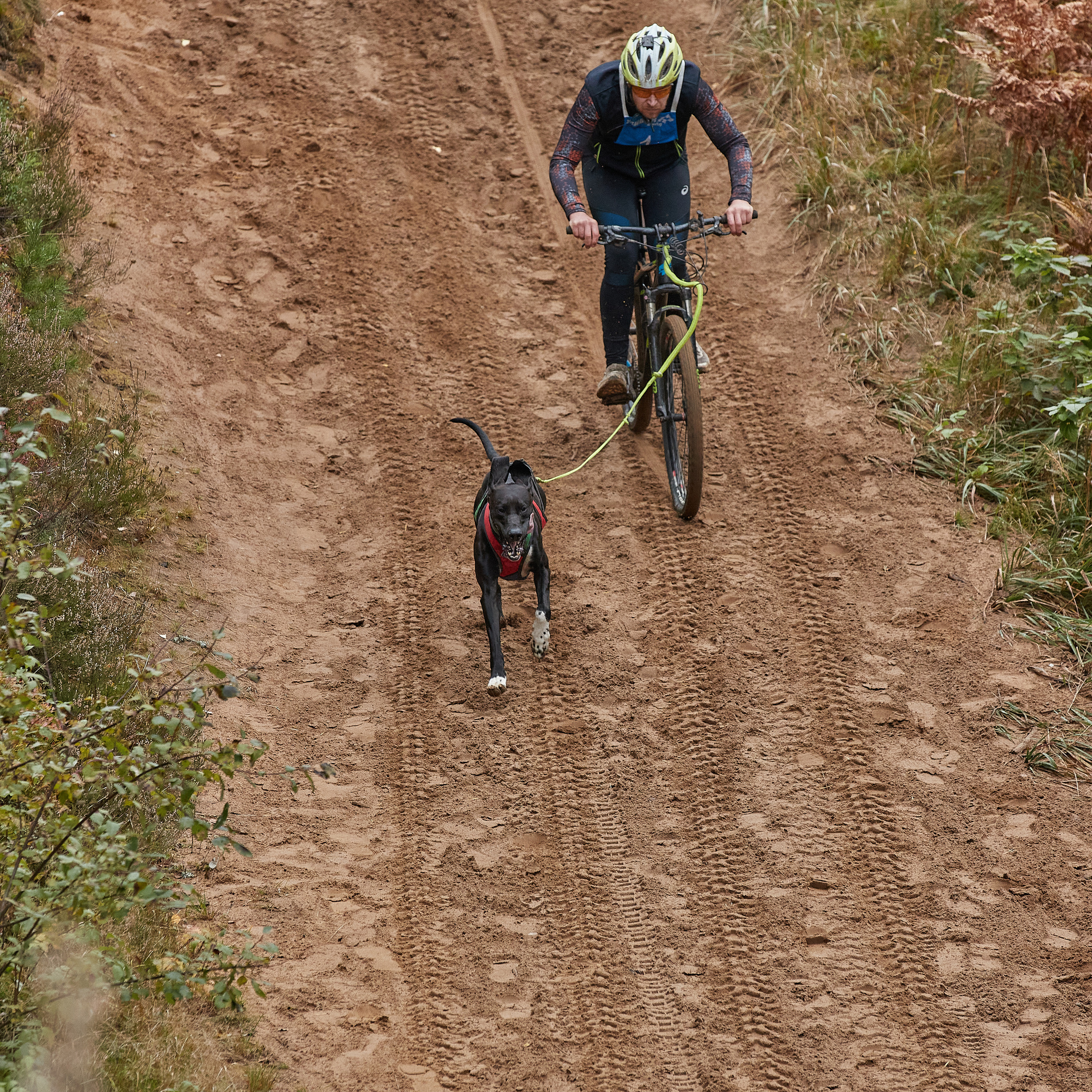 ЧЕМПИОНАТ РОССИИ РКФ 25–26 сентября 2021 г. ФОТОГРАФ-АНИМАЛИСТ l LANA POLYAKOVA