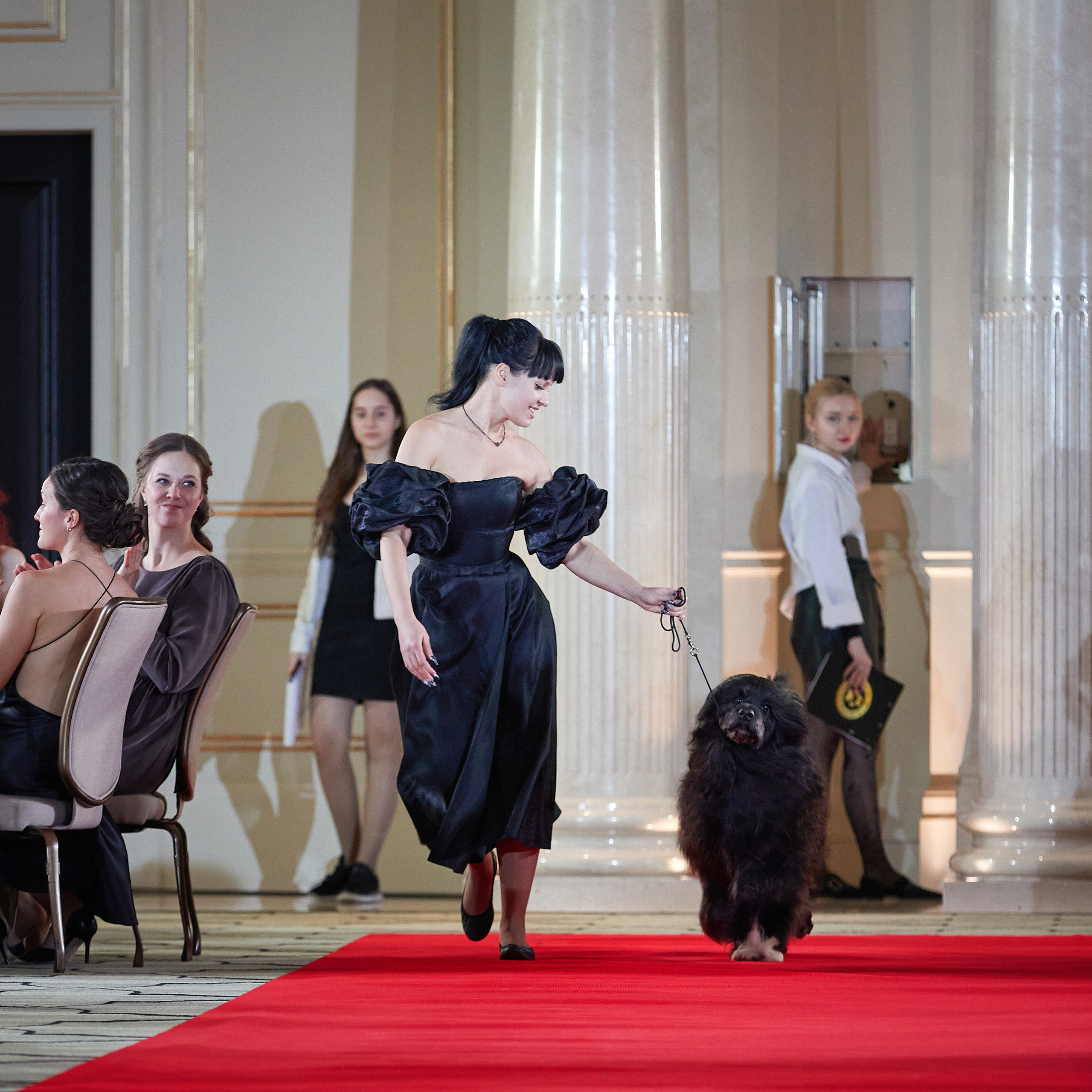 Репортаж с церемонии «BEST RUSSIAN DOG 2022». ФОТОГРАФ-АНИМАЛИСТ l LANA POLYAKOVA