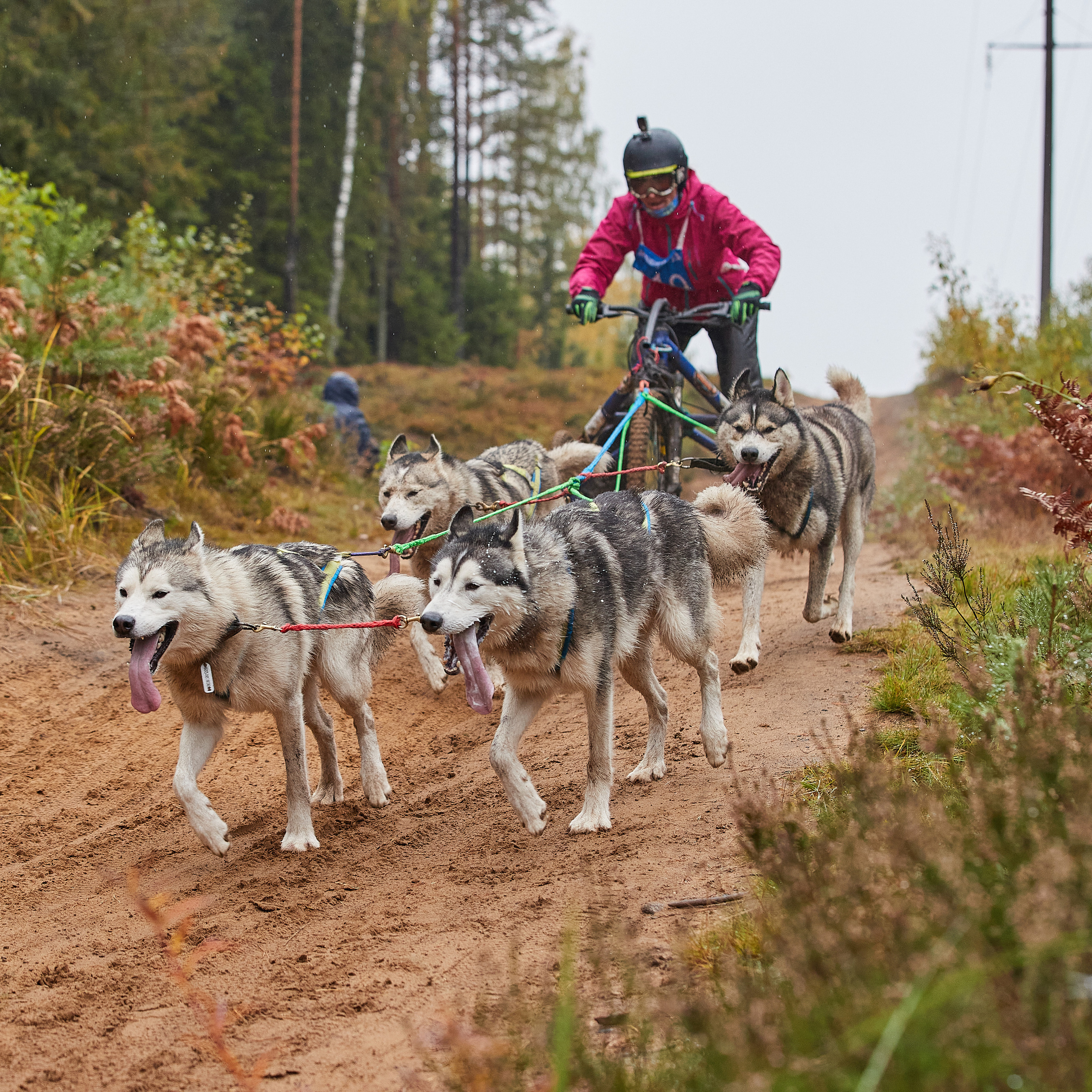 ЧЕМПИОНАТ РОССИИ РКФ 25–26 сентября 2021 г. ФОТОГРАФ-АНИМАЛИСТ l LANA POLYAKOVA