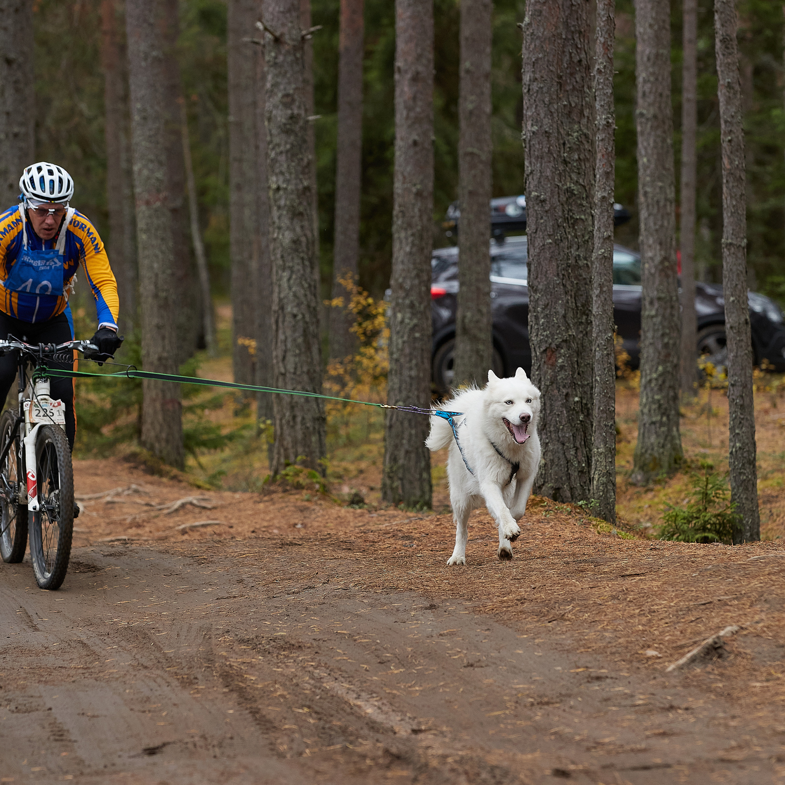 ЧЕМПИОНАТ РОССИИ РКФ 25–26 сентября 2021 г. ФОТОГРАФ-АНИМАЛИСТ l LANA POLYAKOVA