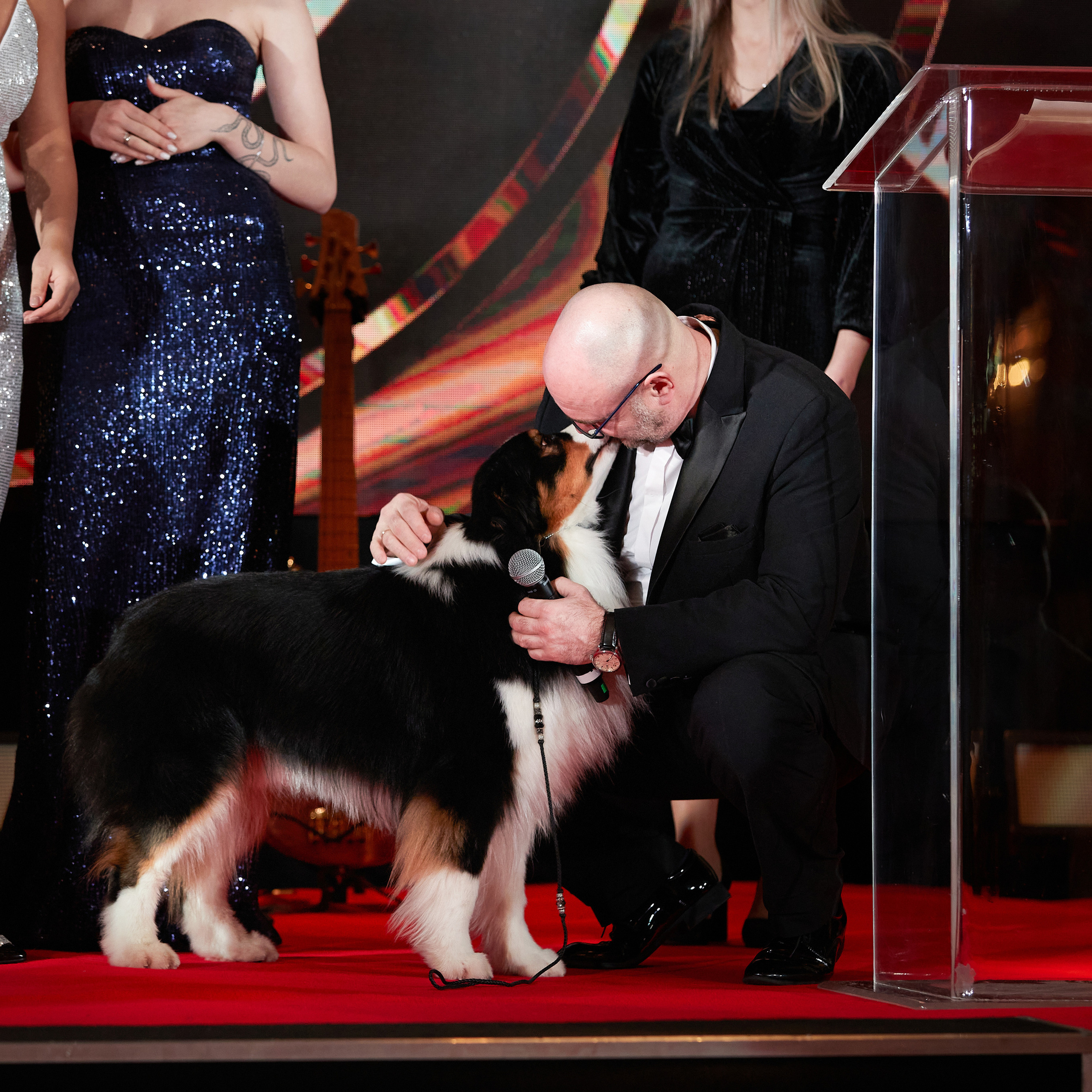 Репортаж с церемонии «BEST RUSSIAN DOG 2022». ФОТОГРАФ-АНИМАЛИСТ l LANA POLYAKOVA