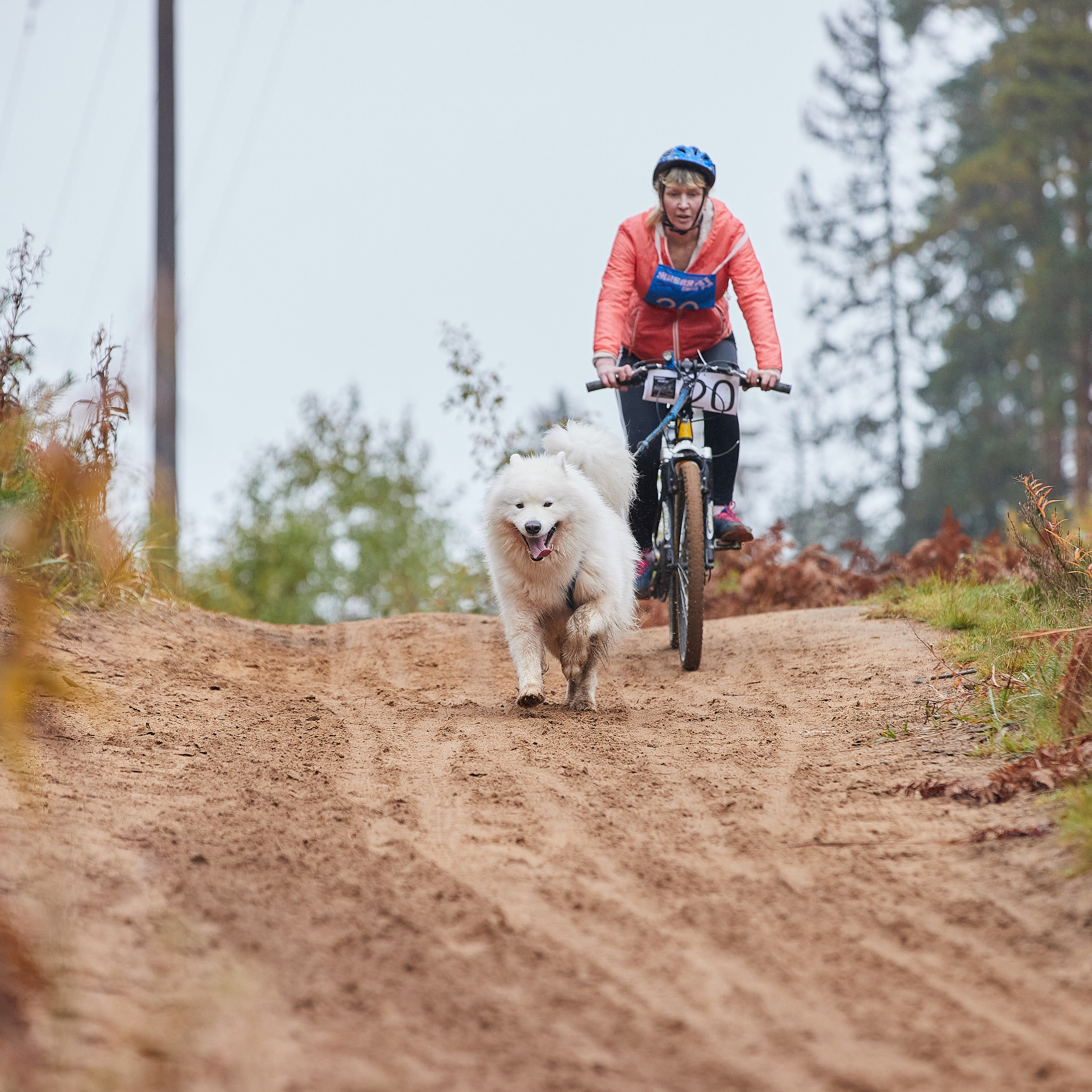 ЧЕМПИОНАТ РОССИИ РКФ 25–26 сентября 2021 г. ФОТОГРАФ-АНИМАЛИСТ l LANA POLYAKOVA