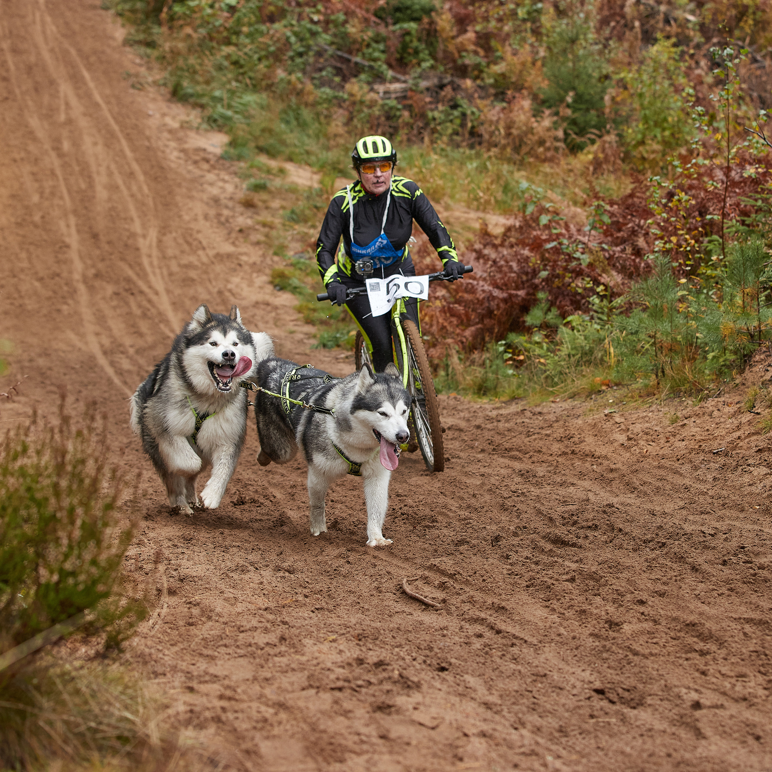 ЧЕМПИОНАТ РОССИИ РКФ 25–26 сентября 2021 г. ФОТОГРАФ-АНИМАЛИСТ l LANA POLYAKOVA