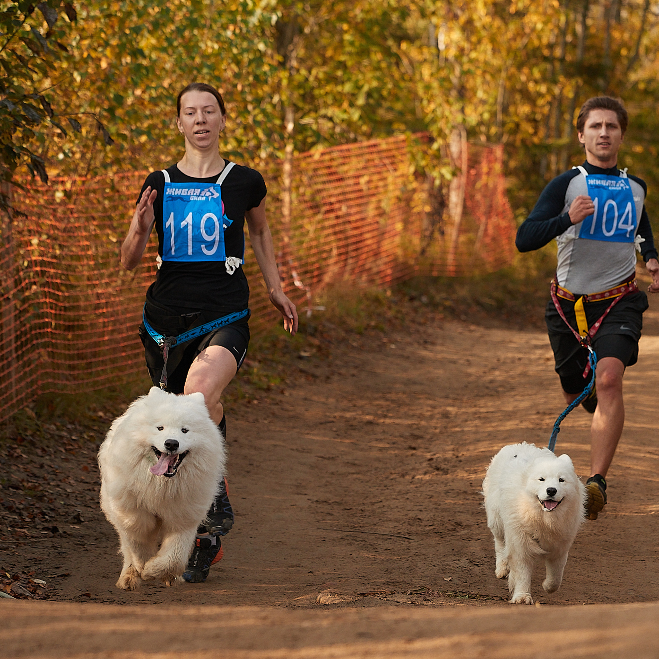ЧЕМПИОНАТ РОССИИ РКФ 27 сентября 2020 г., 2й день. ФОТОГРАФ-АНИМАЛИСТ l LANA POLYAKOVA