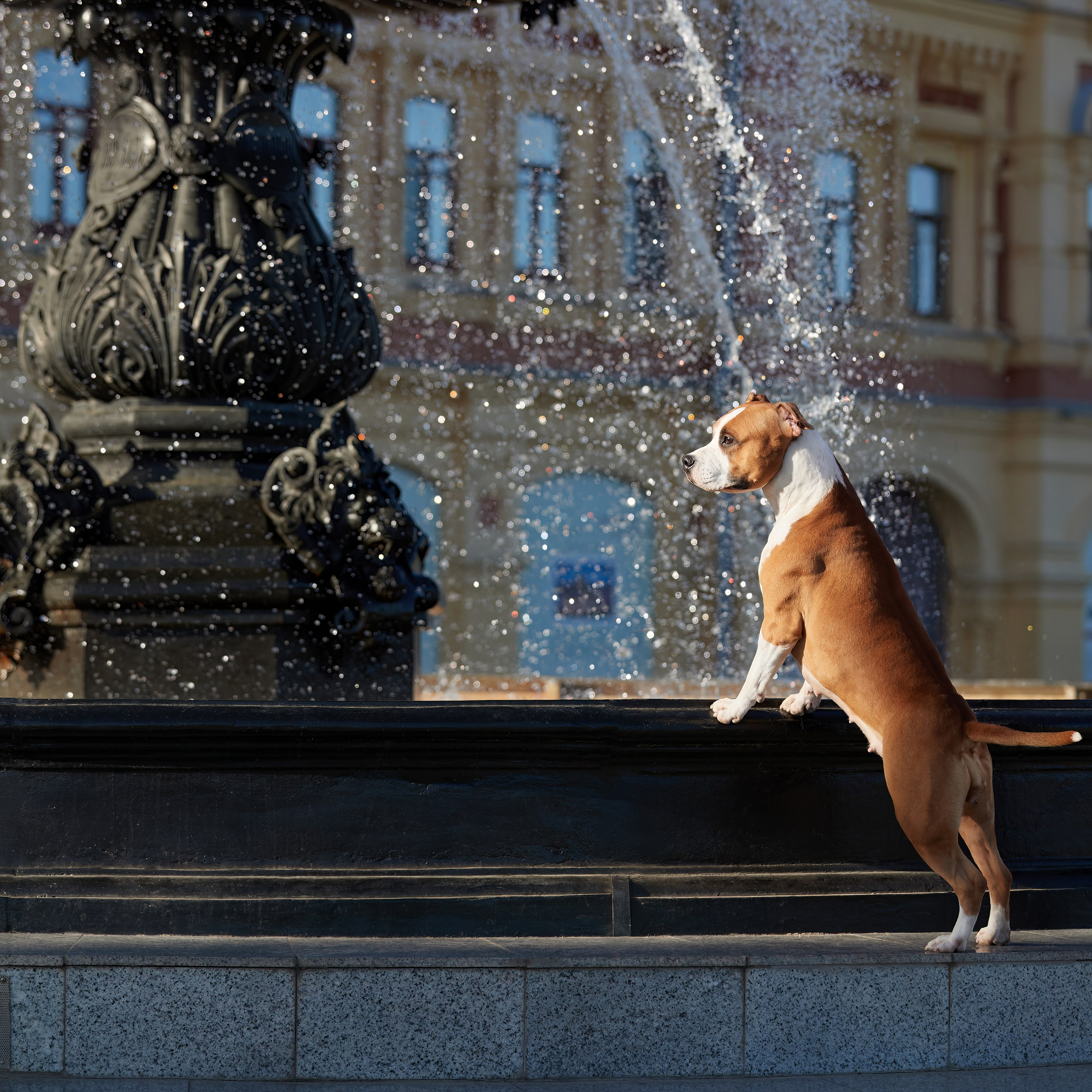 «СЕЗОН В НИЖНЕМ» НИЖНИЙ НОВГОРОД-2024. ФОТОГРАФ-АНИМАЛИСТ l LANA POLYAKOVA