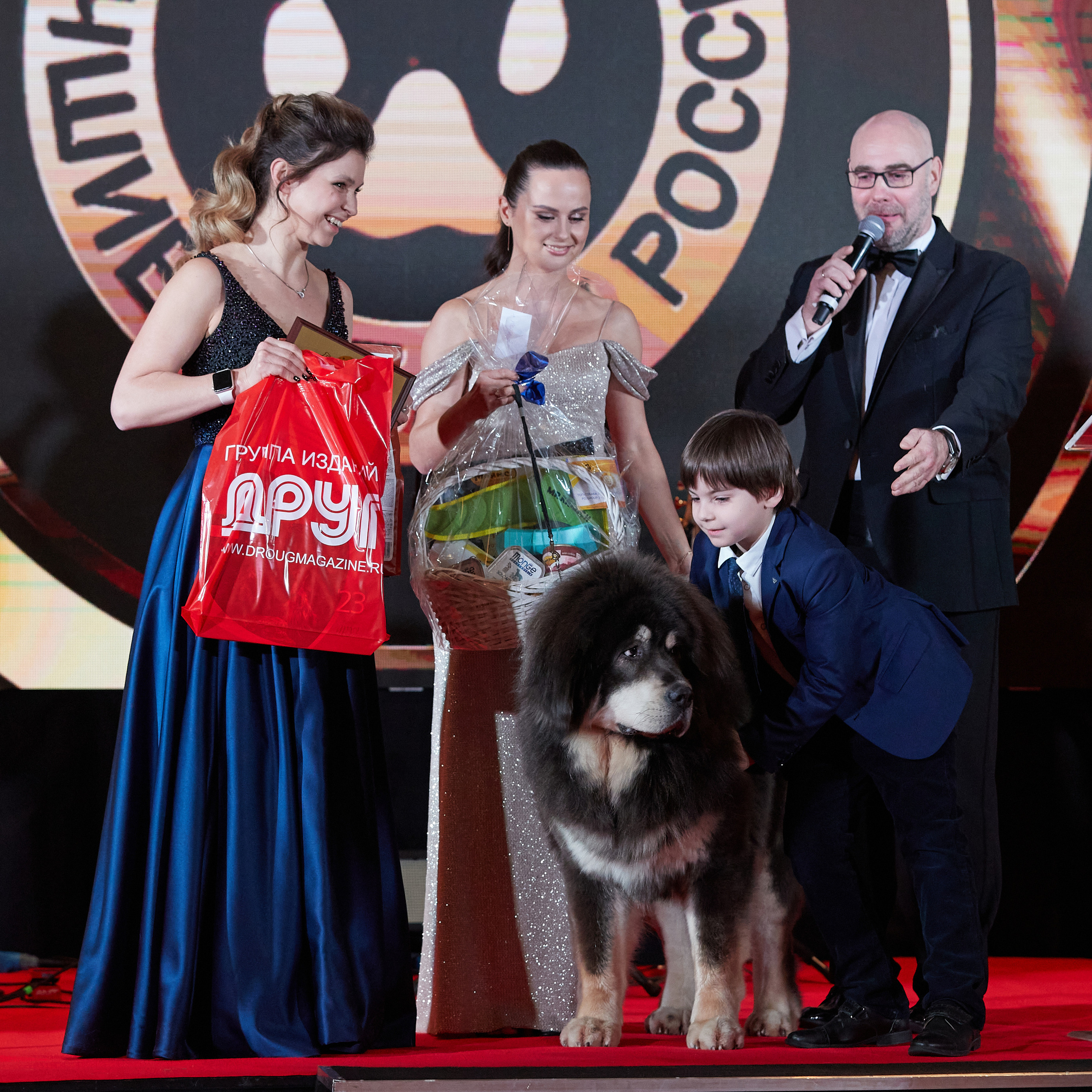 Репортаж с церемонии «BEST RUSSIAN DOG 2022». ФОТОГРАФ-АНИМАЛИСТ l LANA POLYAKOVA