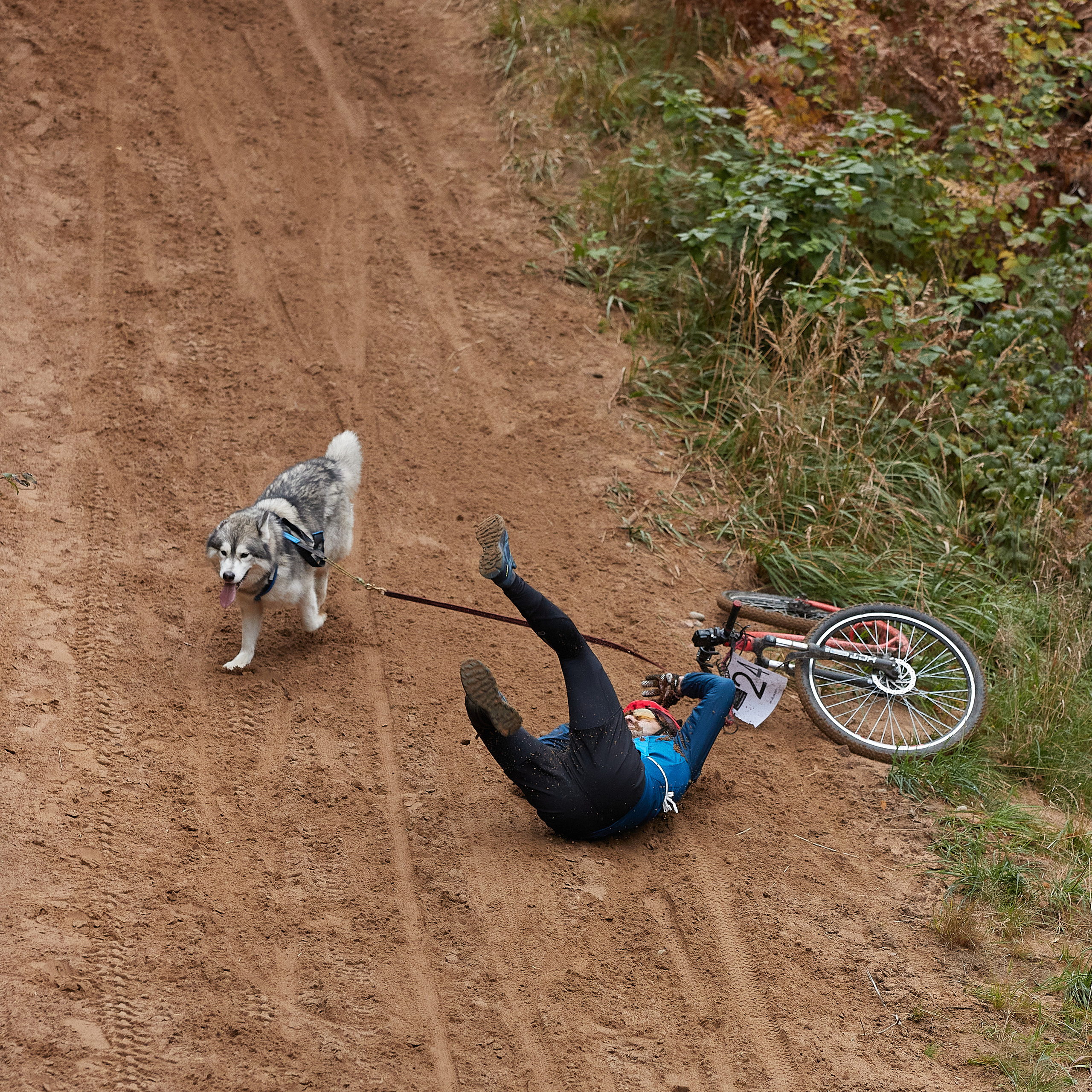 ЧЕМПИОНАТ РОССИИ РКФ 25–26 сентября 2021 г. ФОТОГРАФ-АНИМАЛИСТ l LANA POLYAKOVA
