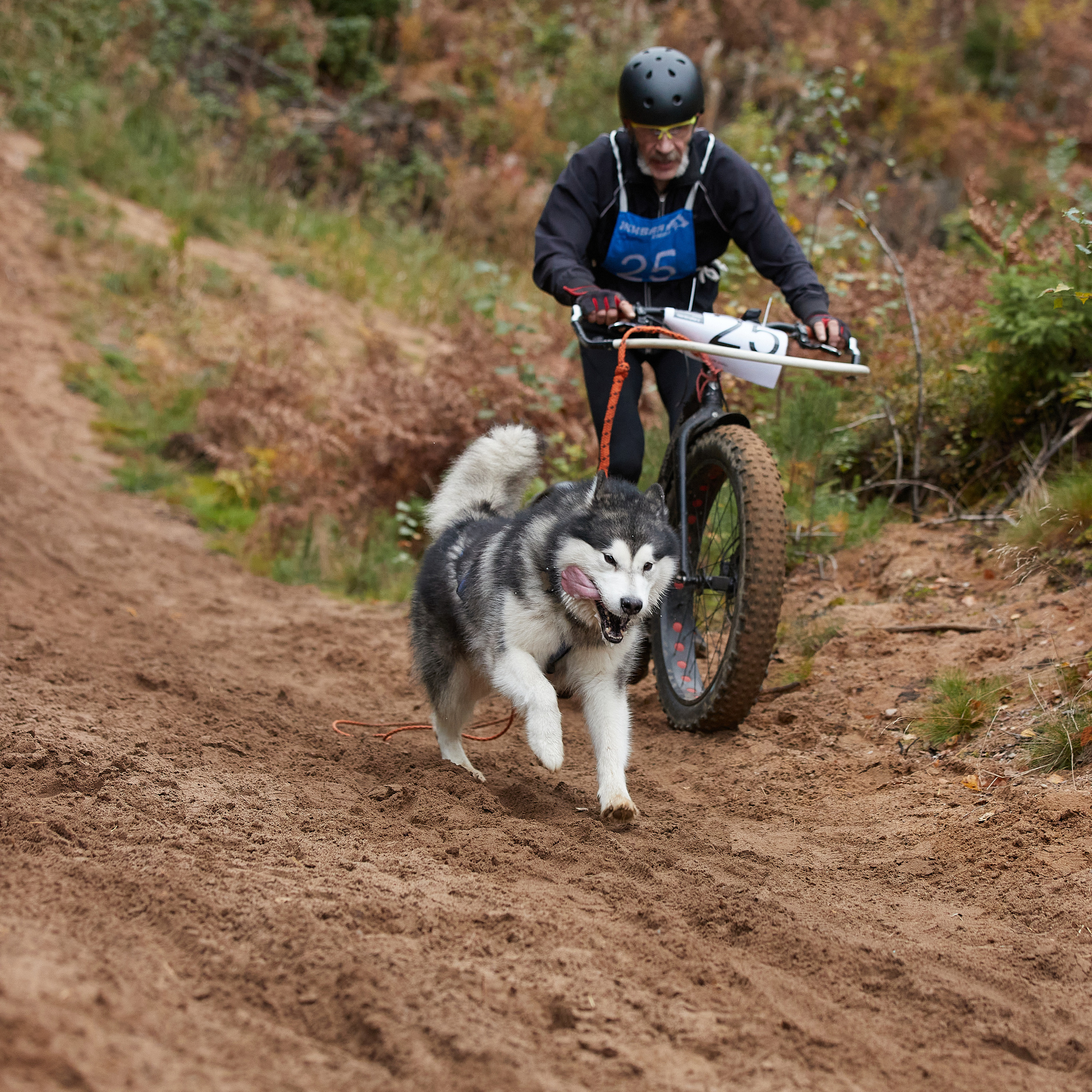 ЧЕМПИОНАТ РОССИИ РКФ 25–26 сентября 2021 г. ФОТОГРАФ-АНИМАЛИСТ l LANA POLYAKOVA