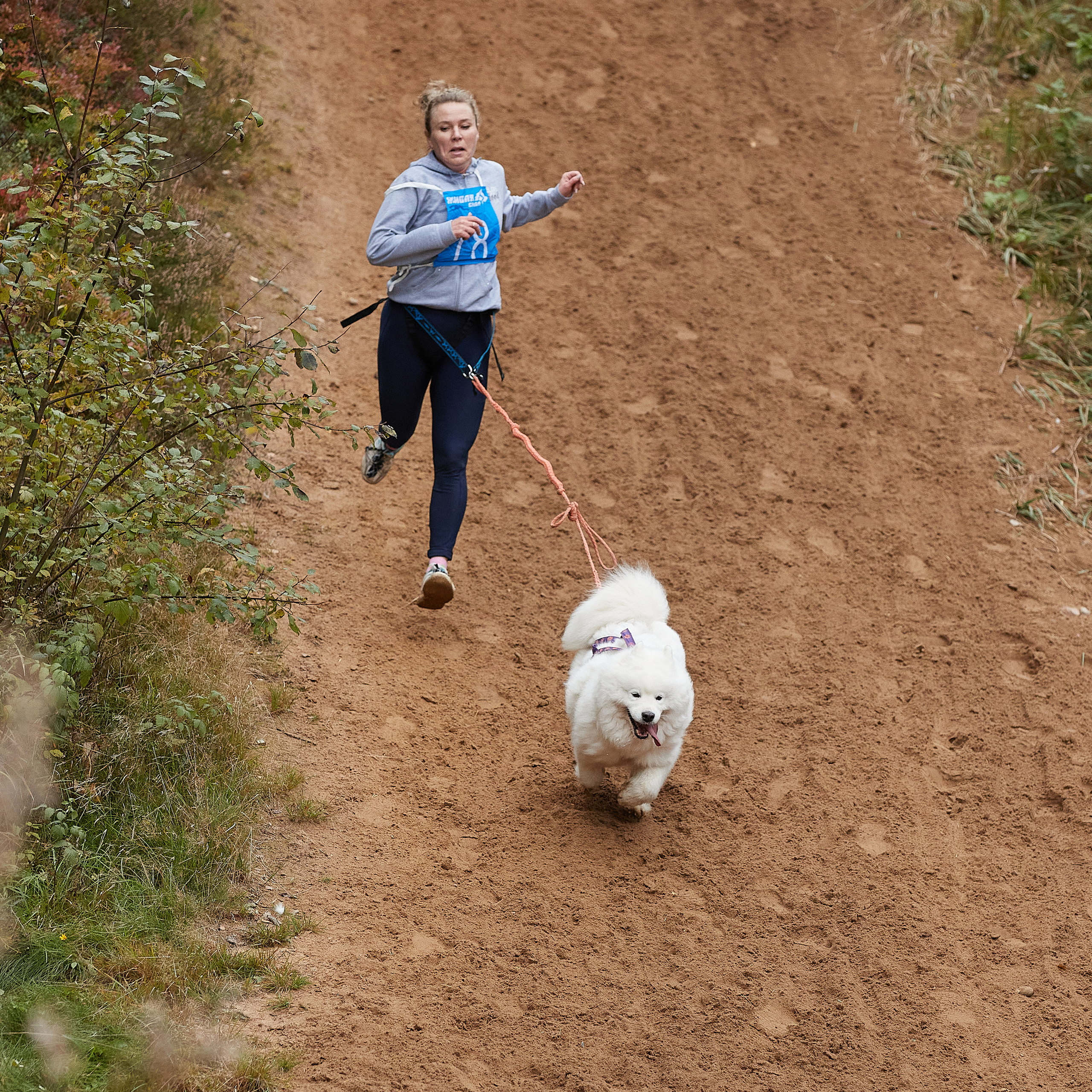 ЧЕМПИОНАТ РОССИИ РКФ 25–26 сентября 2021 г. ФОТОГРАФ-АНИМАЛИСТ l LANA POLYAKOVA