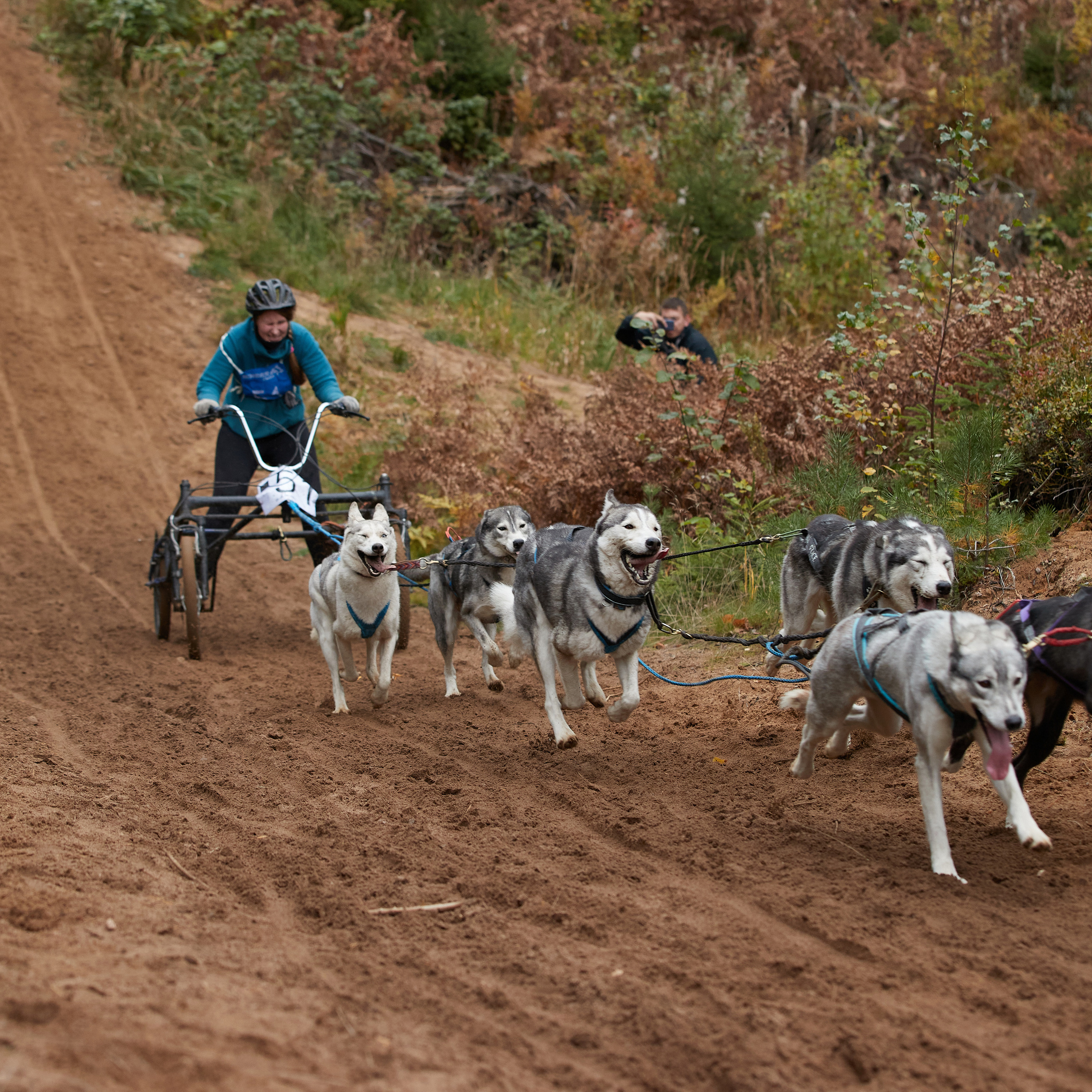 ЧЕМПИОНАТ РОССИИ РКФ 25–26 сентября 2021 г. ФОТОГРАФ-АНИМАЛИСТ l LANA POLYAKOVA