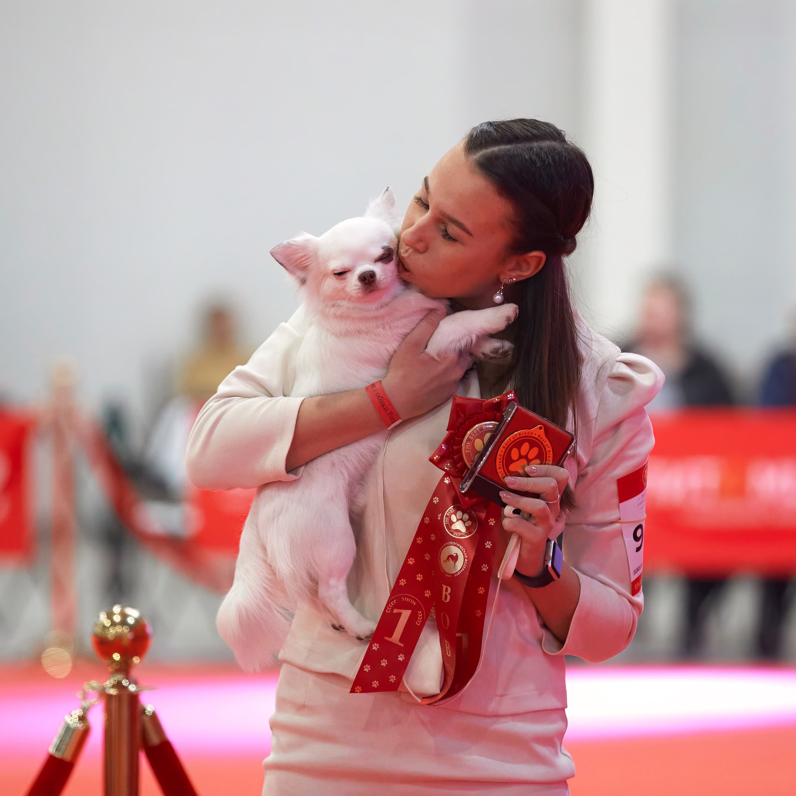 Шоу чемпионов «ЛУЧШИЕ СОБАКИ РОССИИ». ФОТОГРАФ-АНИМАЛИСТ l LANA POLYAKOVA