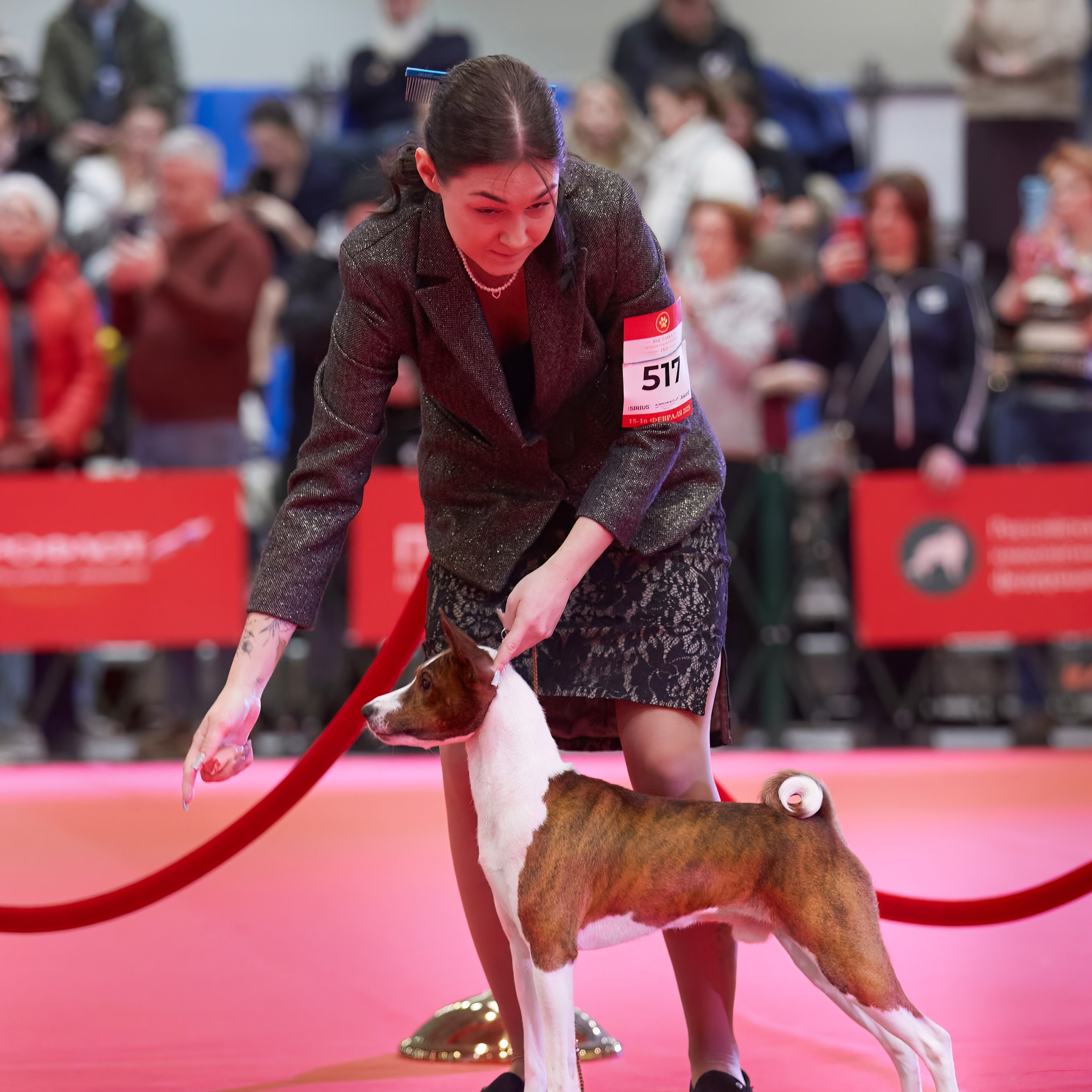 Шоу чемпионов «ЛУЧШИЕ СОБАКИ РОССИИ». ФОТОГРАФ-АНИМАЛИСТ l LANA POLYAKOVA