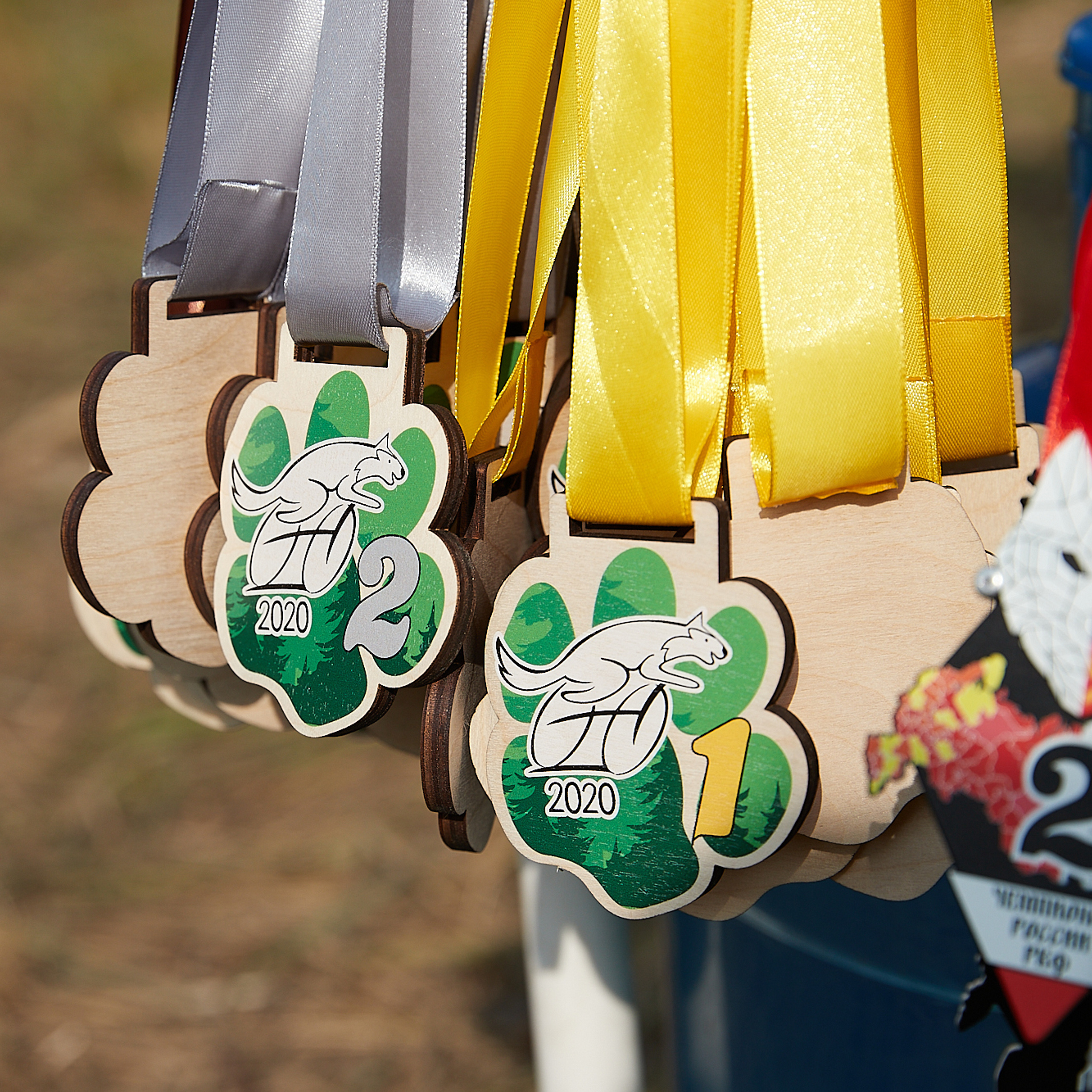 ЧЕМПИОНАТ РОССИИ РКФ 27 сентября 2020 г., 2й день. ФОТОГРАФ-АНИМАЛИСТ l LANA POLYAKOVA