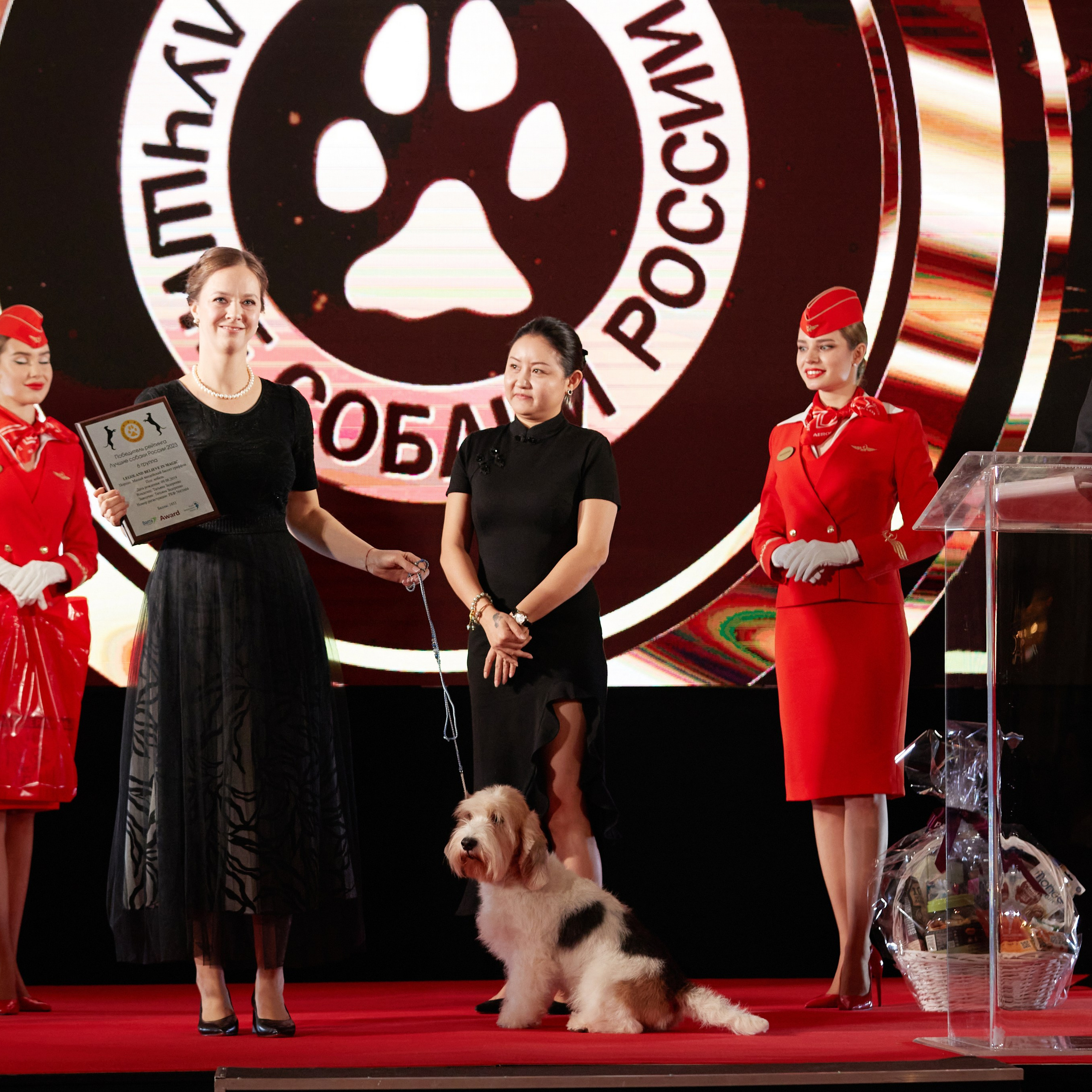 Репортаж с церемонии «BEST RUSSIAN DOG 2023». ФОТОГРАФ-АНИМАЛИСТ l LANA POLYAKOVA
