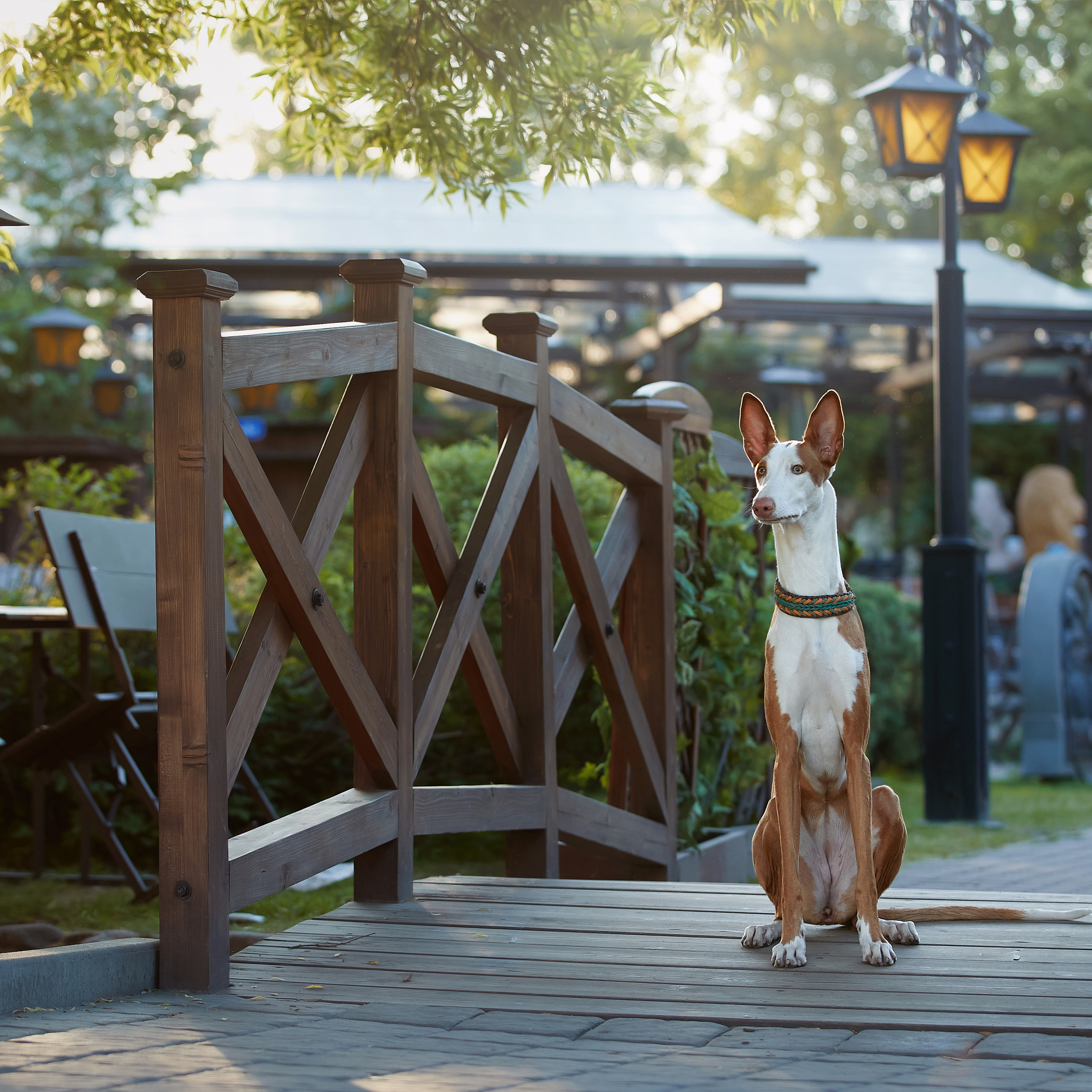 Фотопрогулка для Найроби. ФОТОГРАФ-АНИМАЛИСТ l LANA POLYAKOVA