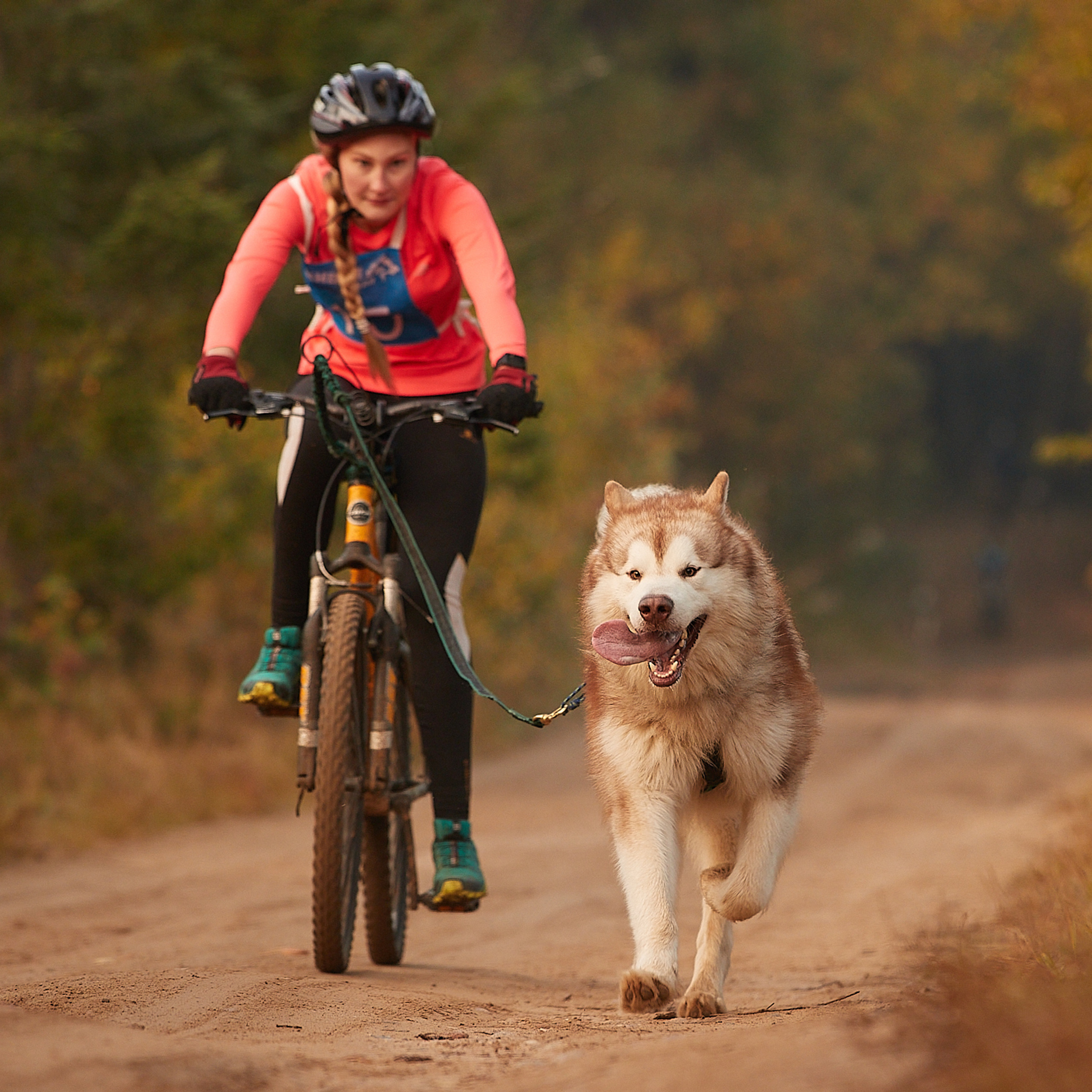 ЧЕМПИОНАТ РОССИИ РКФ 27 сентября 2020 г., 2й день. ФОТОГРАФ-АНИМАЛИСТ l LANA POLYAKOVA