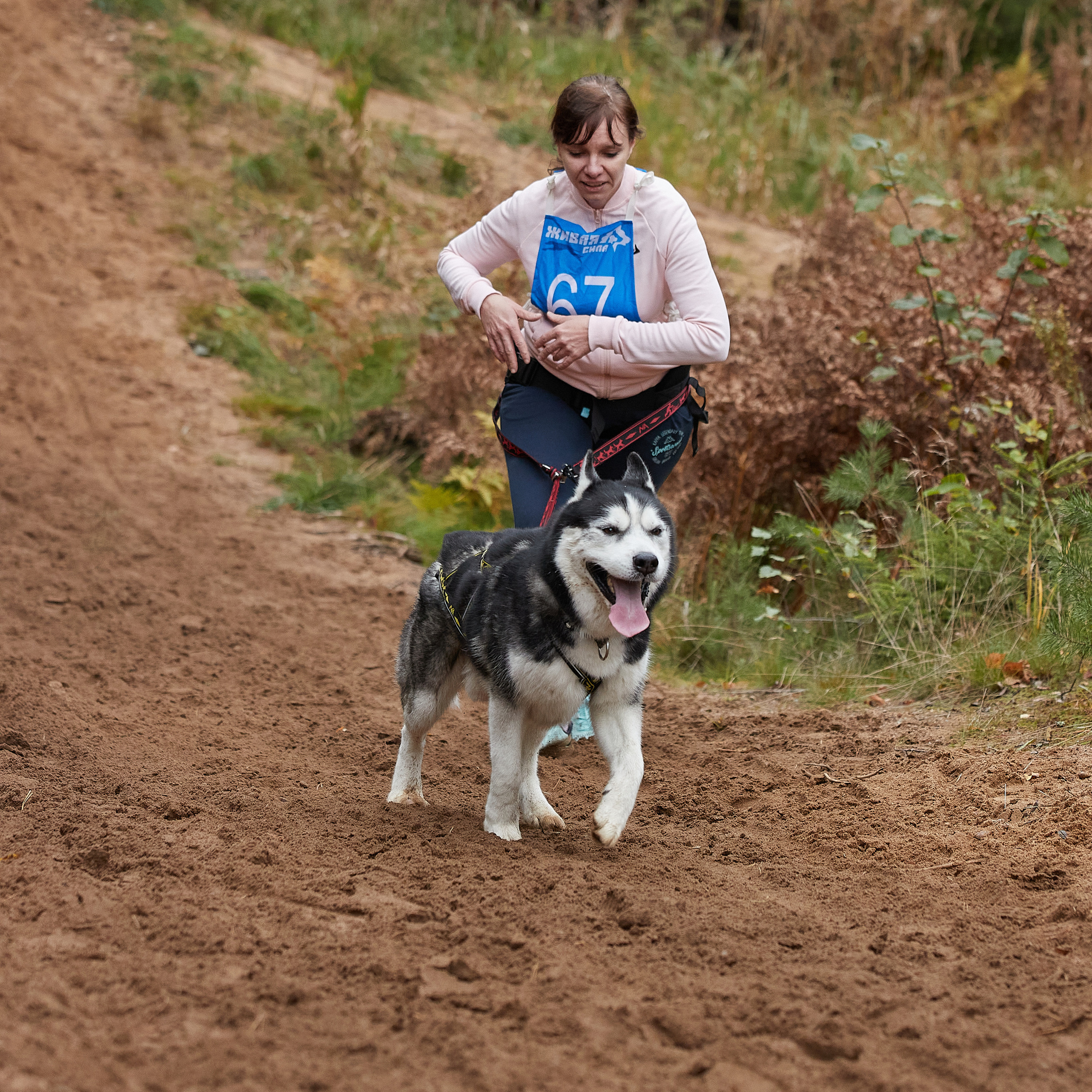 ЧЕМПИОНАТ РОССИИ РКФ 25–26 сентября 2021 г. ФОТОГРАФ-АНИМАЛИСТ l LANA POLYAKOVA