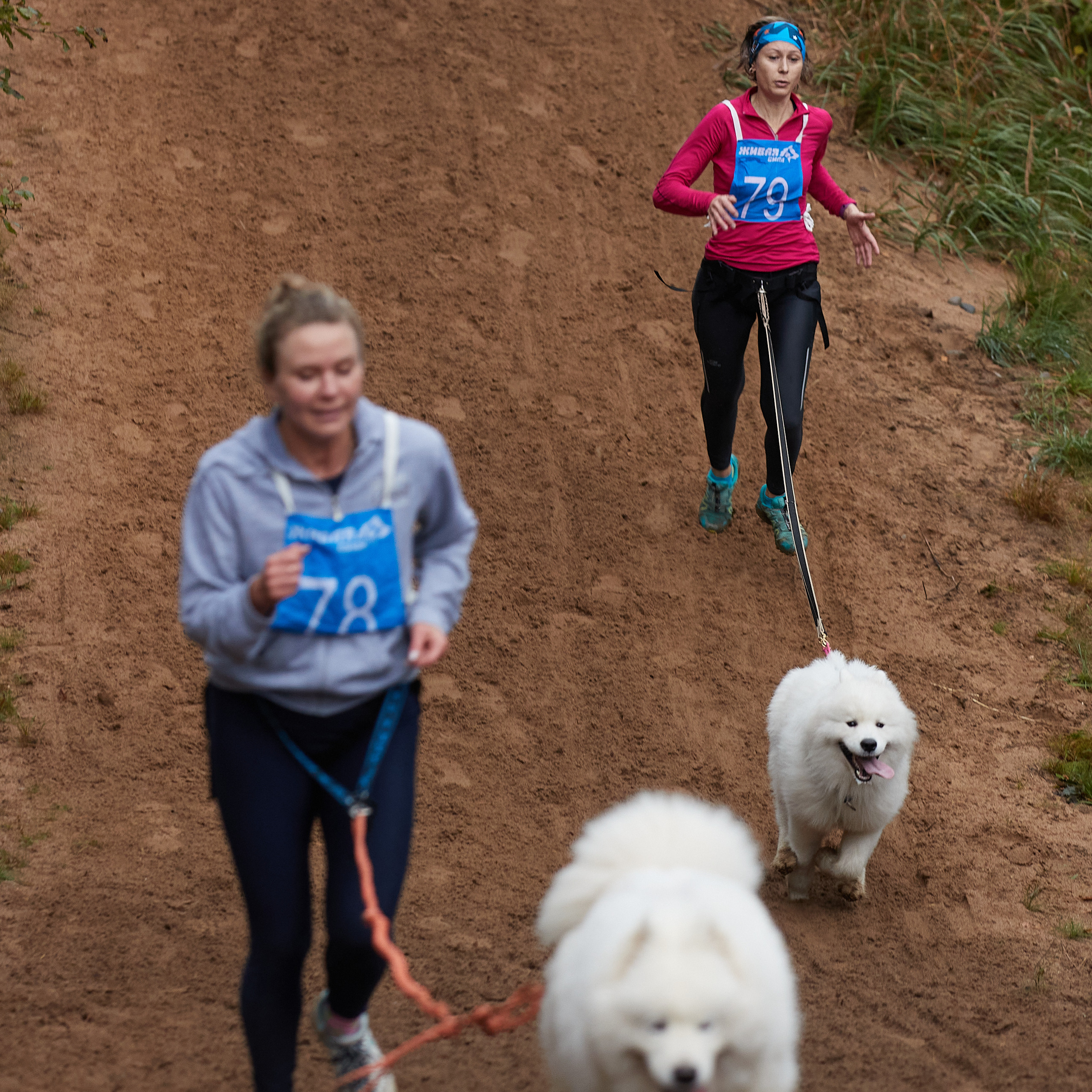 ЧЕМПИОНАТ РОССИИ РКФ 25–26 сентября 2021 г. ФОТОГРАФ-АНИМАЛИСТ l LANA POLYAKOVA