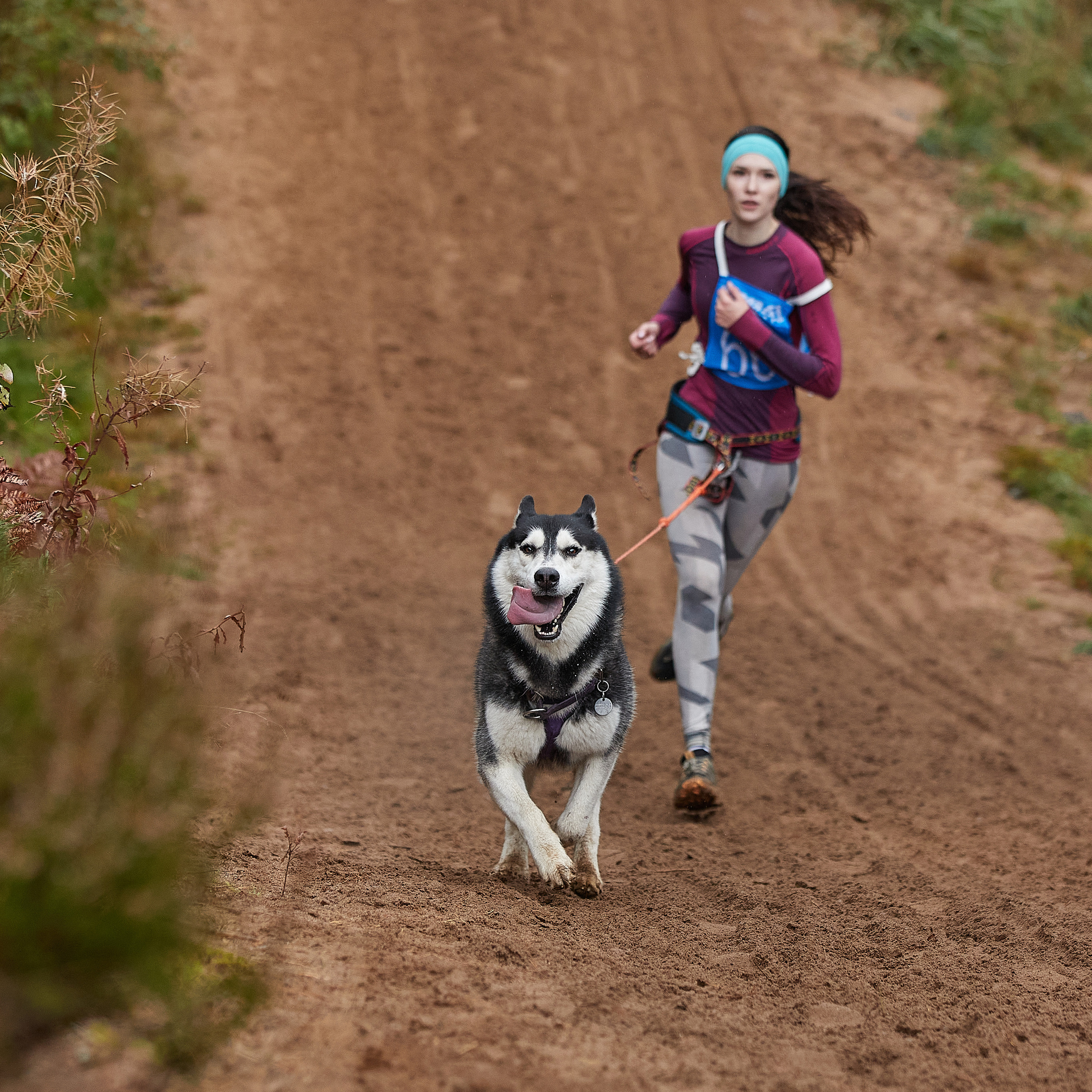 ЧЕМПИОНАТ РОССИИ РКФ 25–26 сентября 2021 г. ФОТОГРАФ-АНИМАЛИСТ l LANA POLYAKOVA