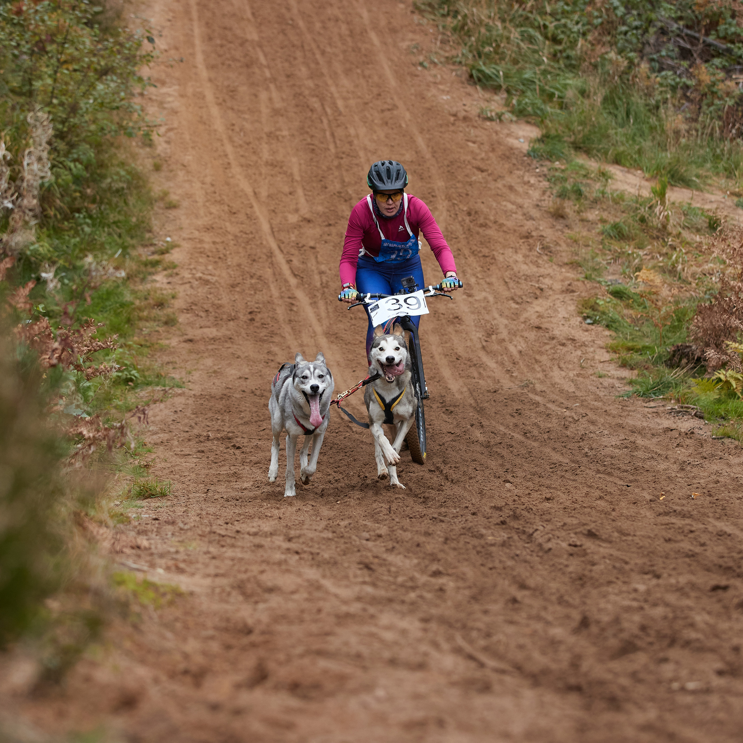 ЧЕМПИОНАТ РОССИИ РКФ 25–26 сентября 2021 г. ФОТОГРАФ-АНИМАЛИСТ l LANA POLYAKOVA