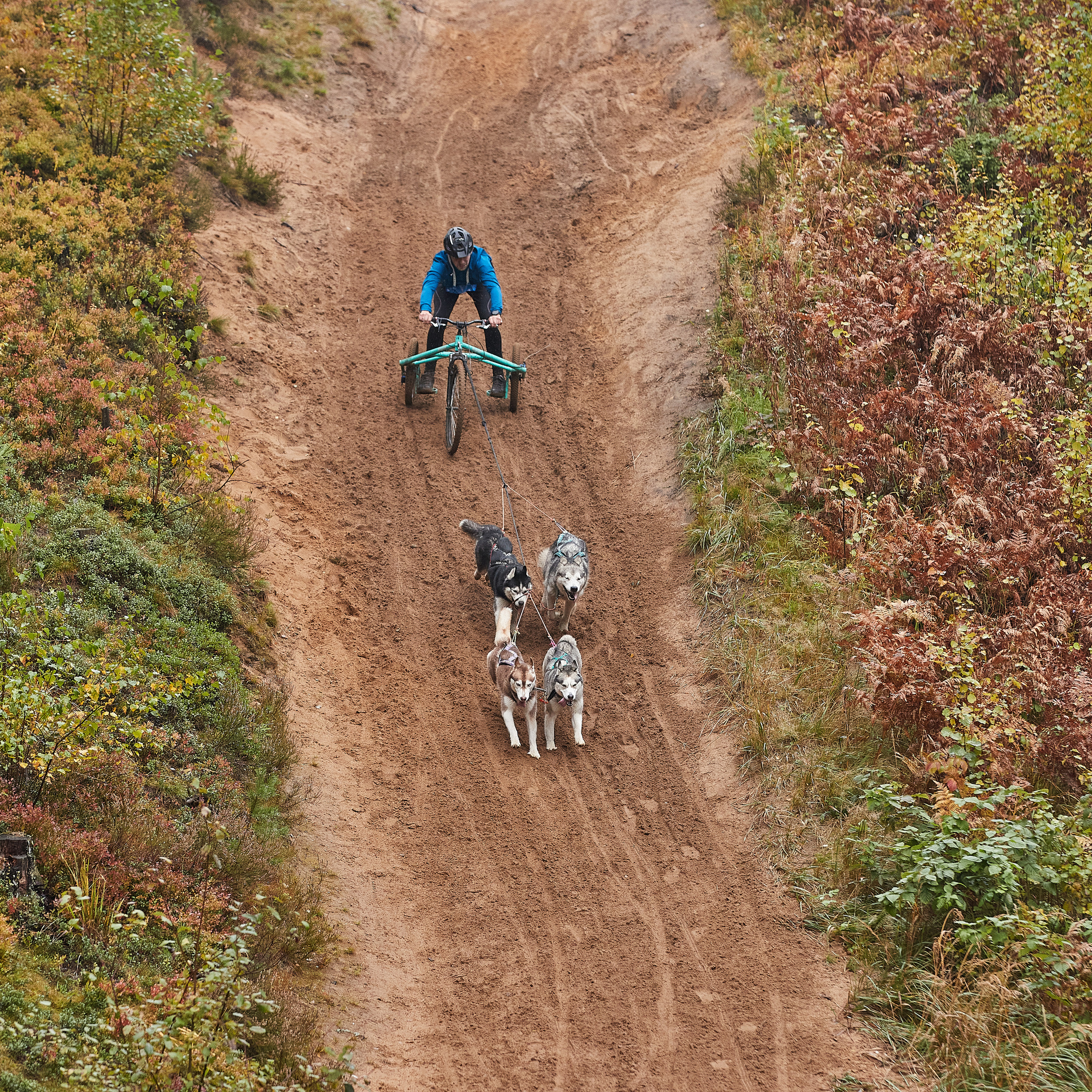 ЧЕМПИОНАТ РОССИИ РКФ 25–26 сентября 2021 г. ФОТОГРАФ-АНИМАЛИСТ l LANA POLYAKOVA