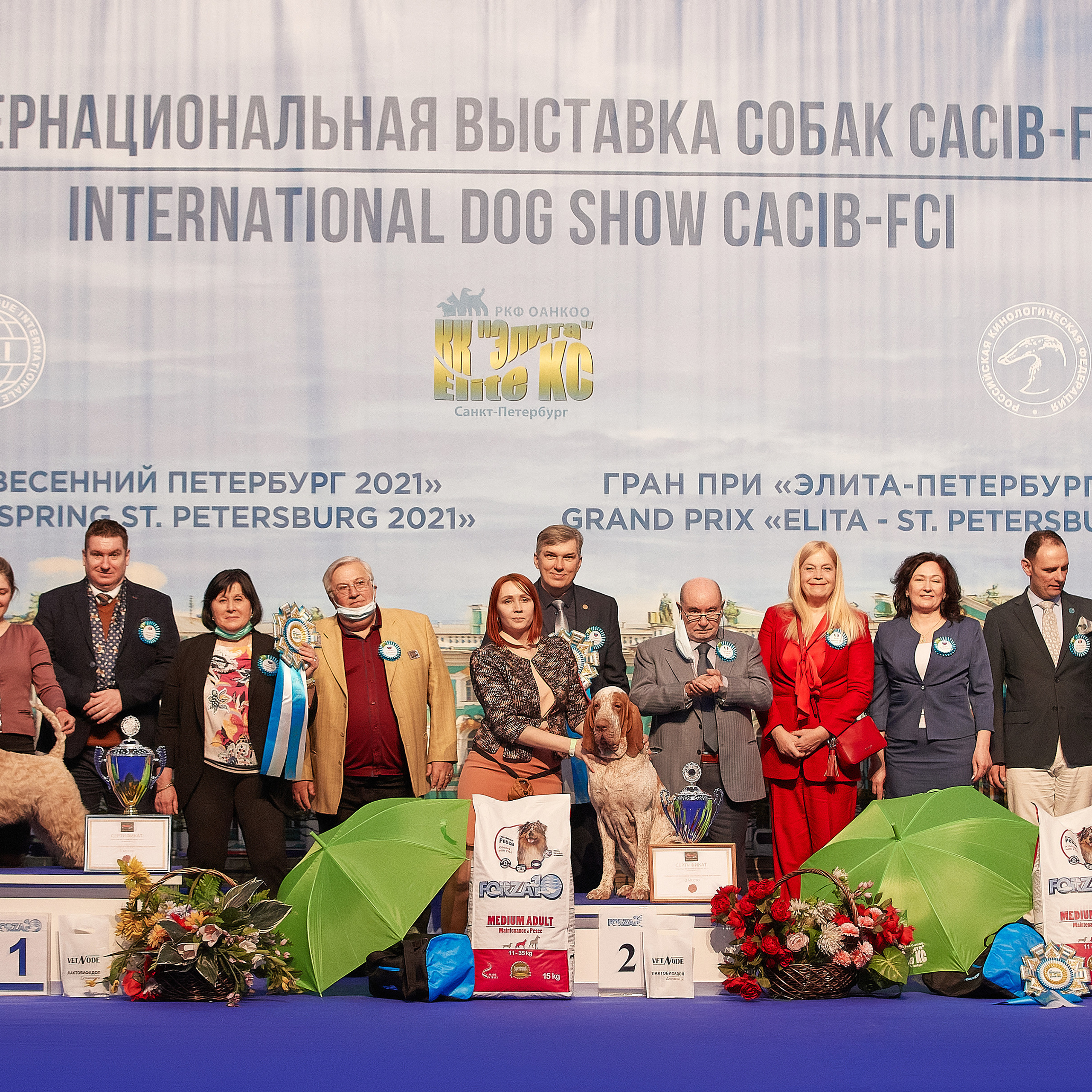 24-25.04.21 CACIB в Санкт-Петербурге. ФОТОГРАФ-АНИМАЛИСТ l LANA POLYAKOVA