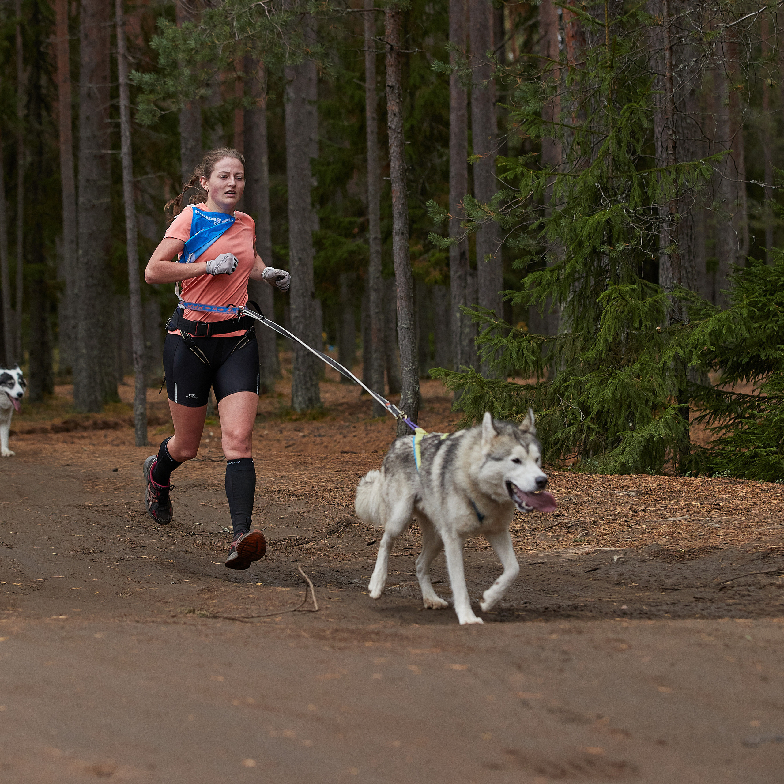 ЧЕМПИОНАТ РОССИИ РКФ 25–26 сентября 2021 г. ФОТОГРАФ-АНИМАЛИСТ l LANA POLYAKOVA