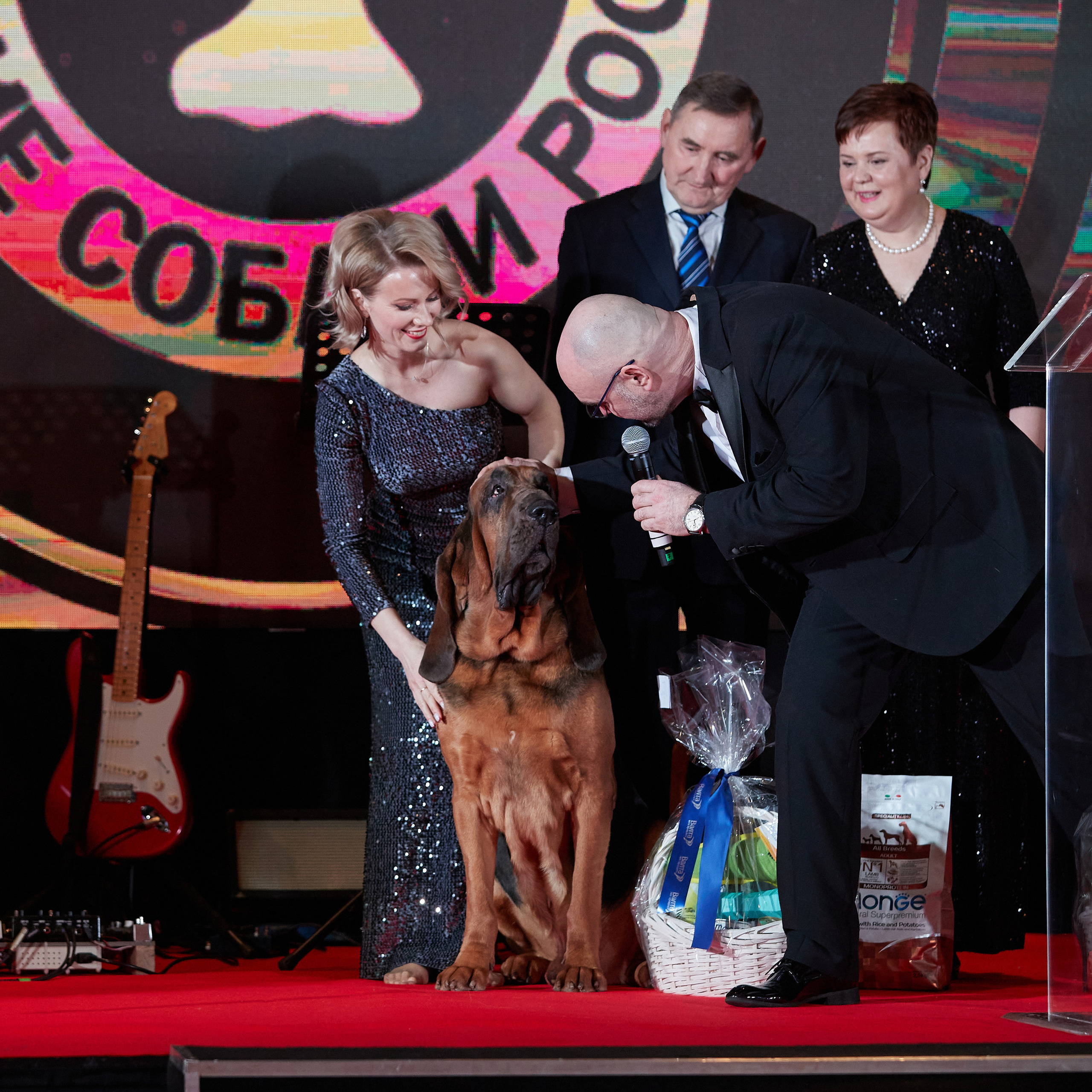 Репортаж с церемонии «BEST RUSSIAN DOG 2022». ФОТОГРАФ-АНИМАЛИСТ l LANA POLYAKOVA