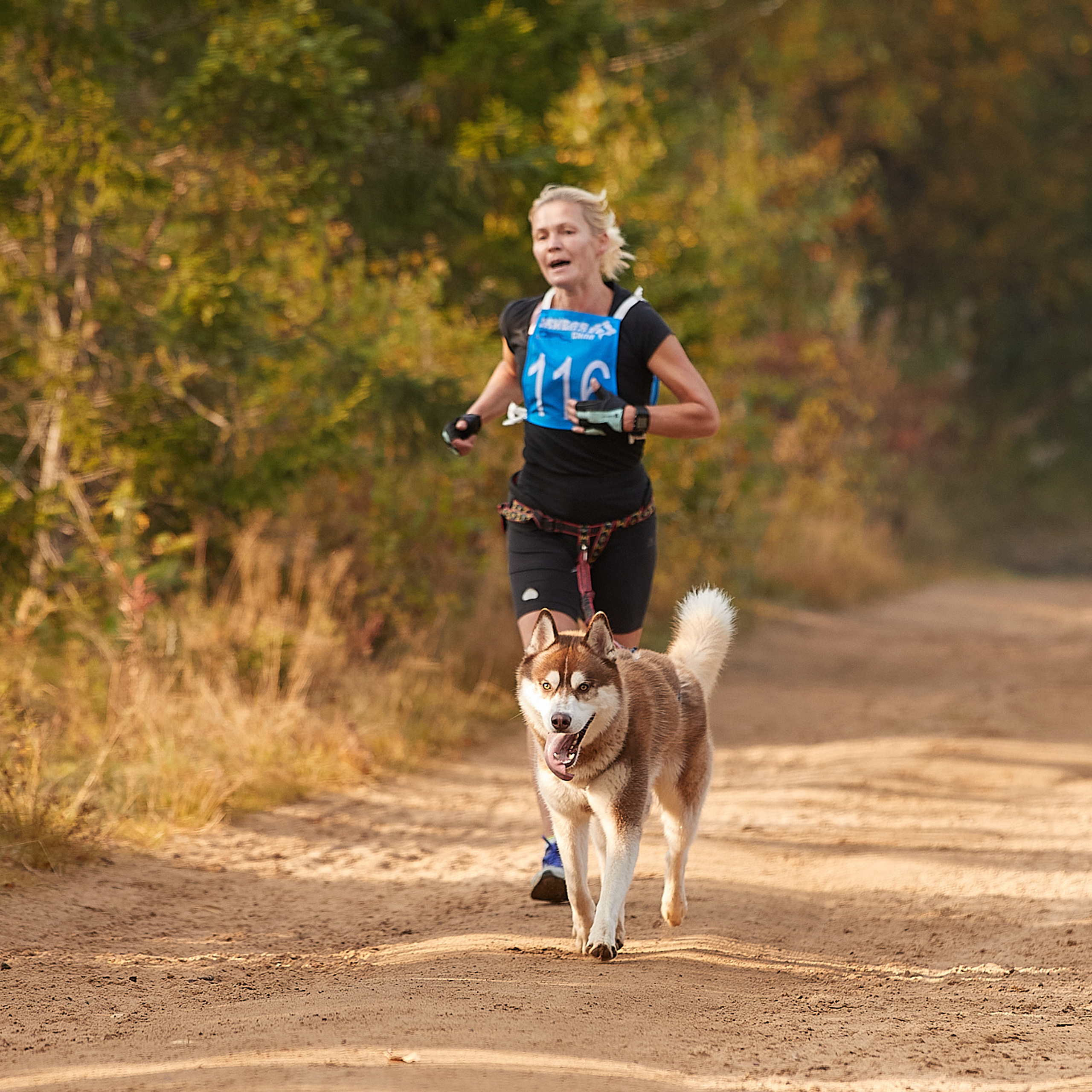 ЧЕМПИОНАТ РОССИИ РКФ 27 сентября 2020 г., 2й день. ФОТОГРАФ-АНИМАЛИСТ l LANA POLYAKOVA