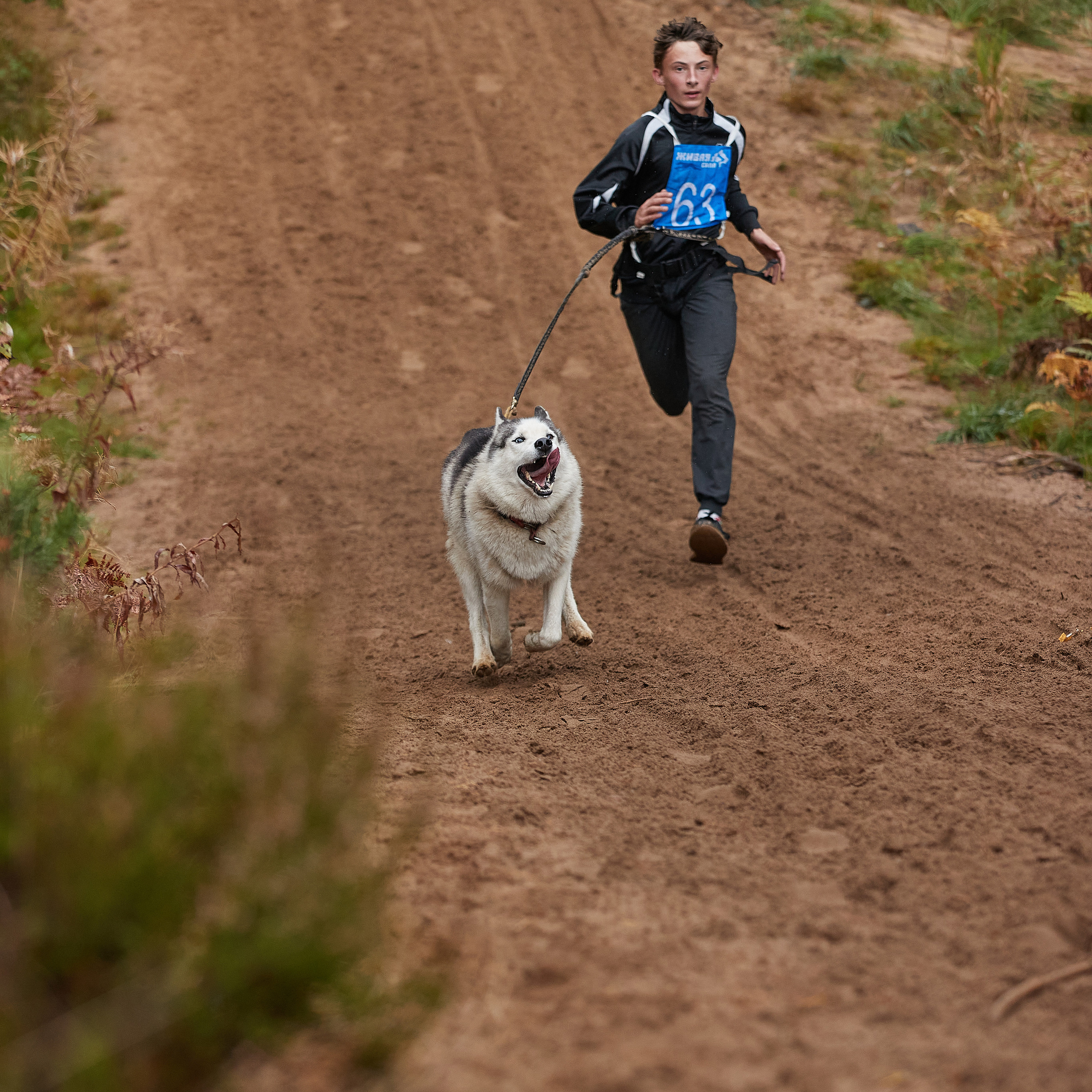 ЧЕМПИОНАТ РОССИИ РКФ 25–26 сентября 2021 г. ФОТОГРАФ-АНИМАЛИСТ l LANA POLYAKOVA