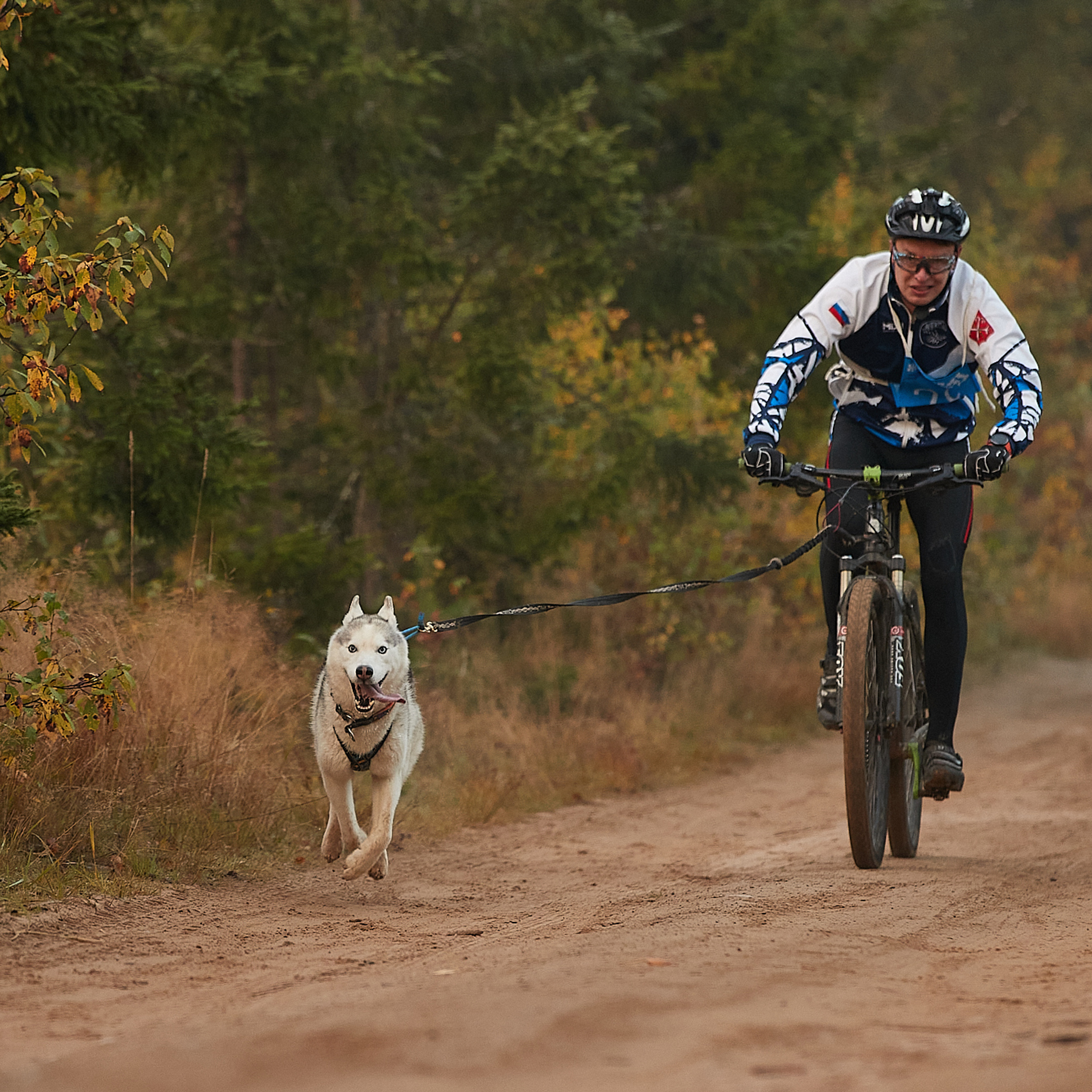 ЧЕМПИОНАТ РОССИИ РКФ 27 сентября 2020 г., 2й день. ФОТОГРАФ-АНИМАЛИСТ l LANA POLYAKOVA