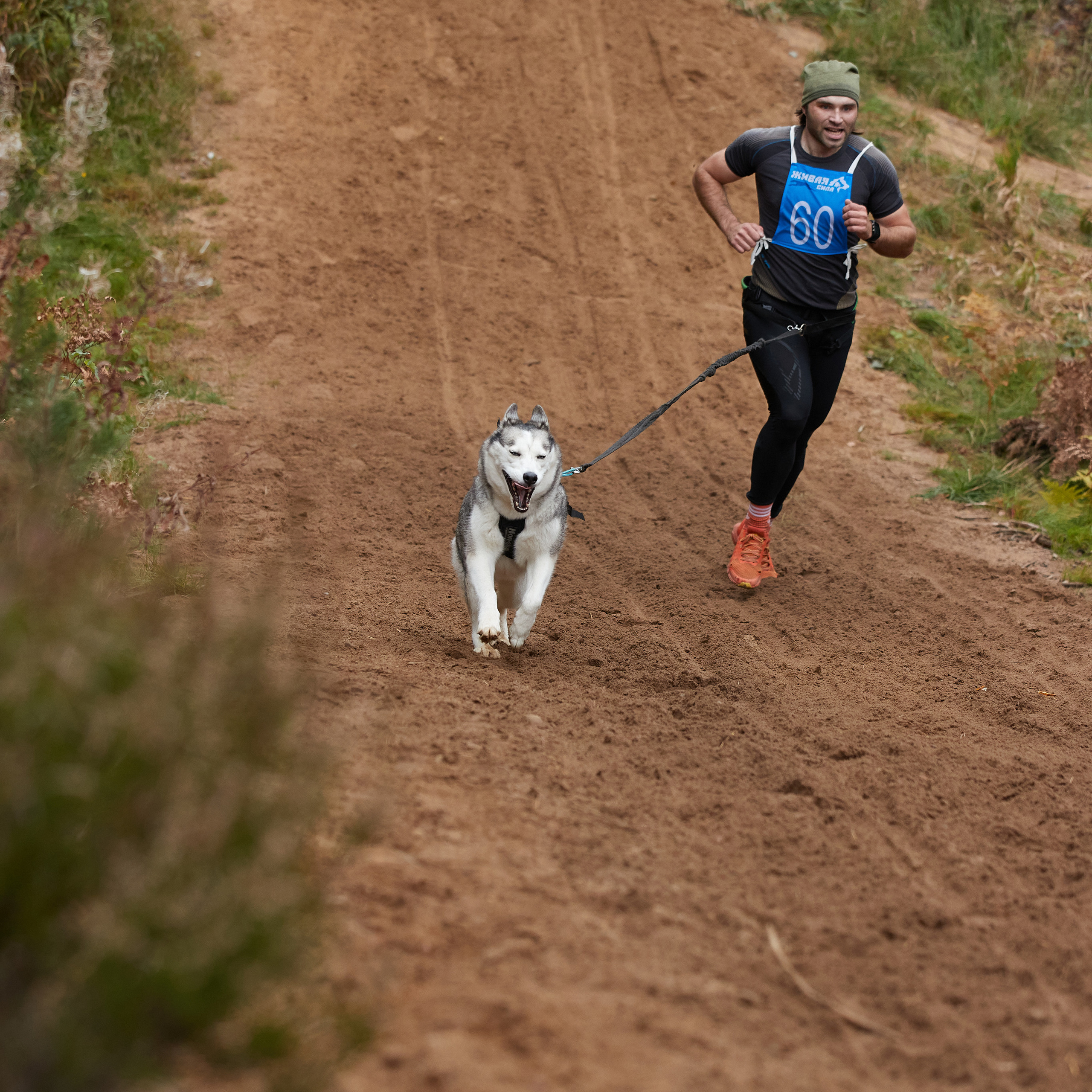 ЧЕМПИОНАТ РОССИИ РКФ 25–26 сентября 2021 г. ФОТОГРАФ-АНИМАЛИСТ l LANA POLYAKOVA