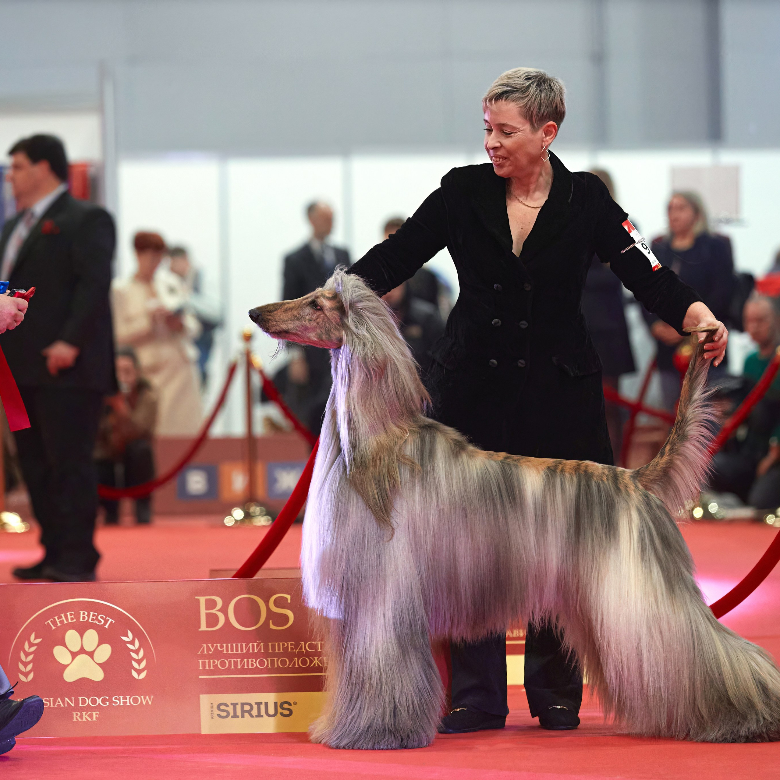 Шоу чемпионов «ЛУЧШИЕ СОБАКИ РОССИИ». ФОТОГРАФ-АНИМАЛИСТ l LANA POLYAKOVA