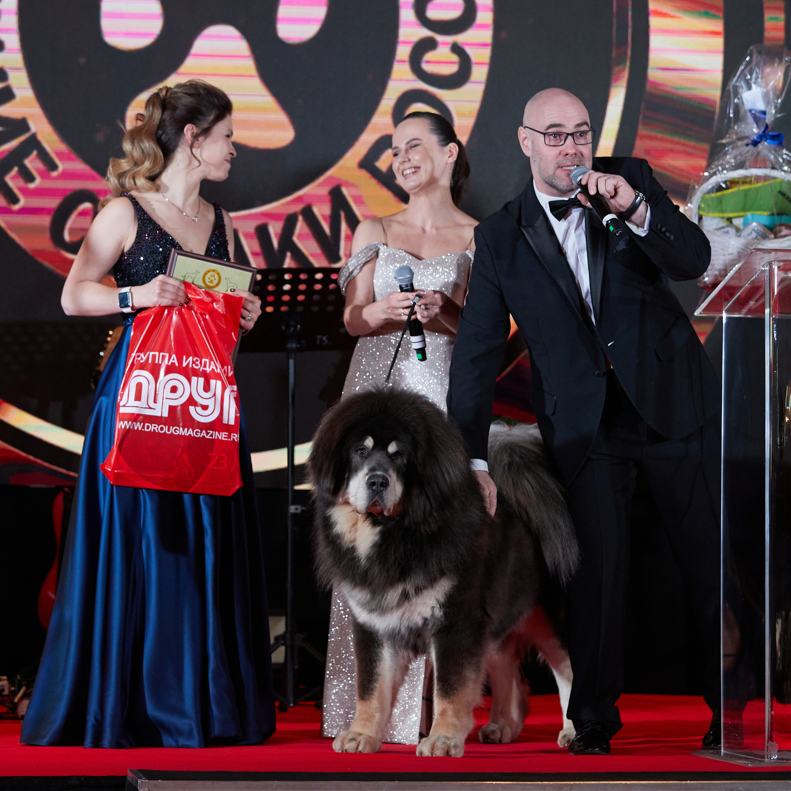 Репортаж с церемонии «BEST RUSSIAN DOG 2022». ФОТОГРАФ-АНИМАЛИСТ l LANA POLYAKOVA