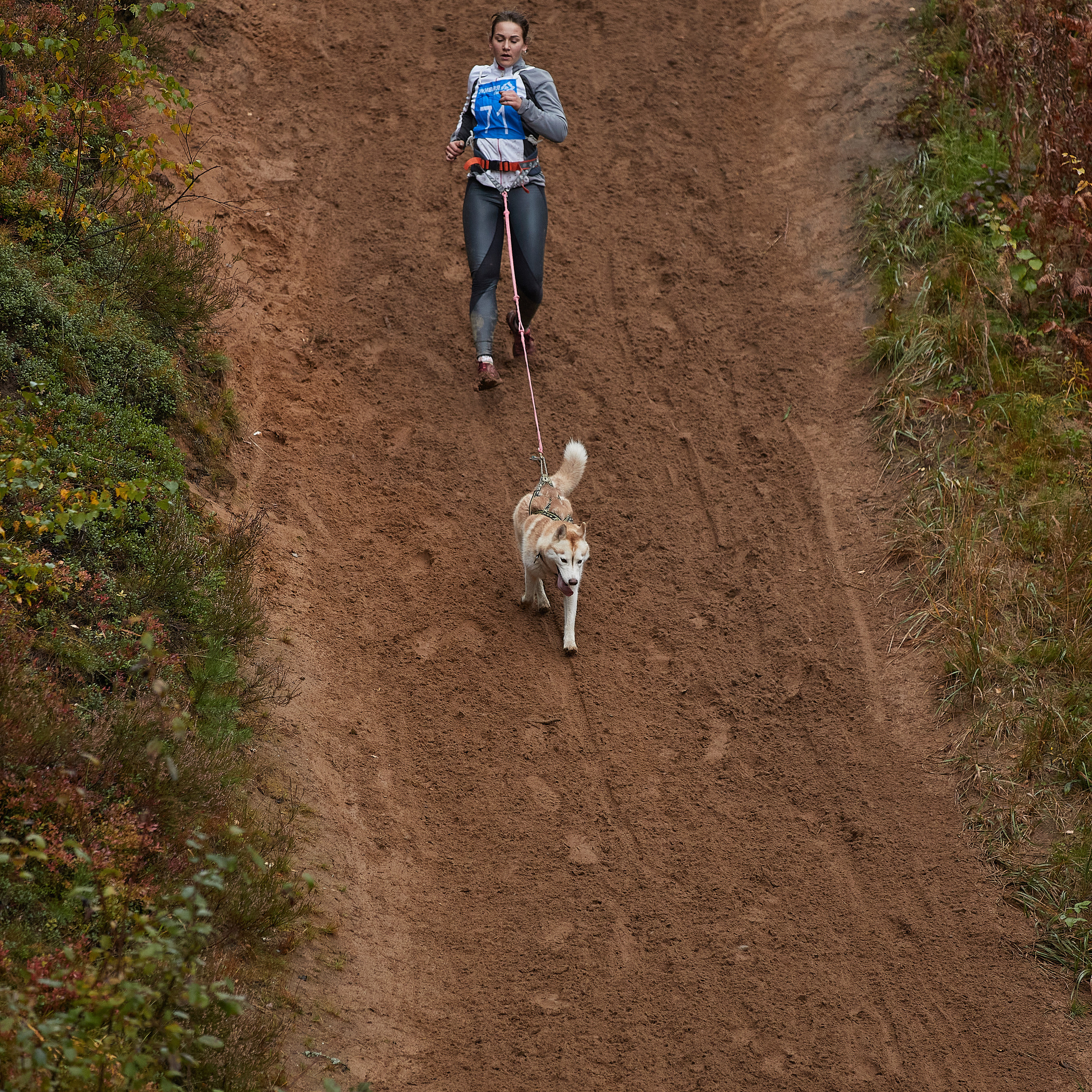 ЧЕМПИОНАТ РОССИИ РКФ 25–26 сентября 2021 г. ФОТОГРАФ-АНИМАЛИСТ l LANA POLYAKOVA