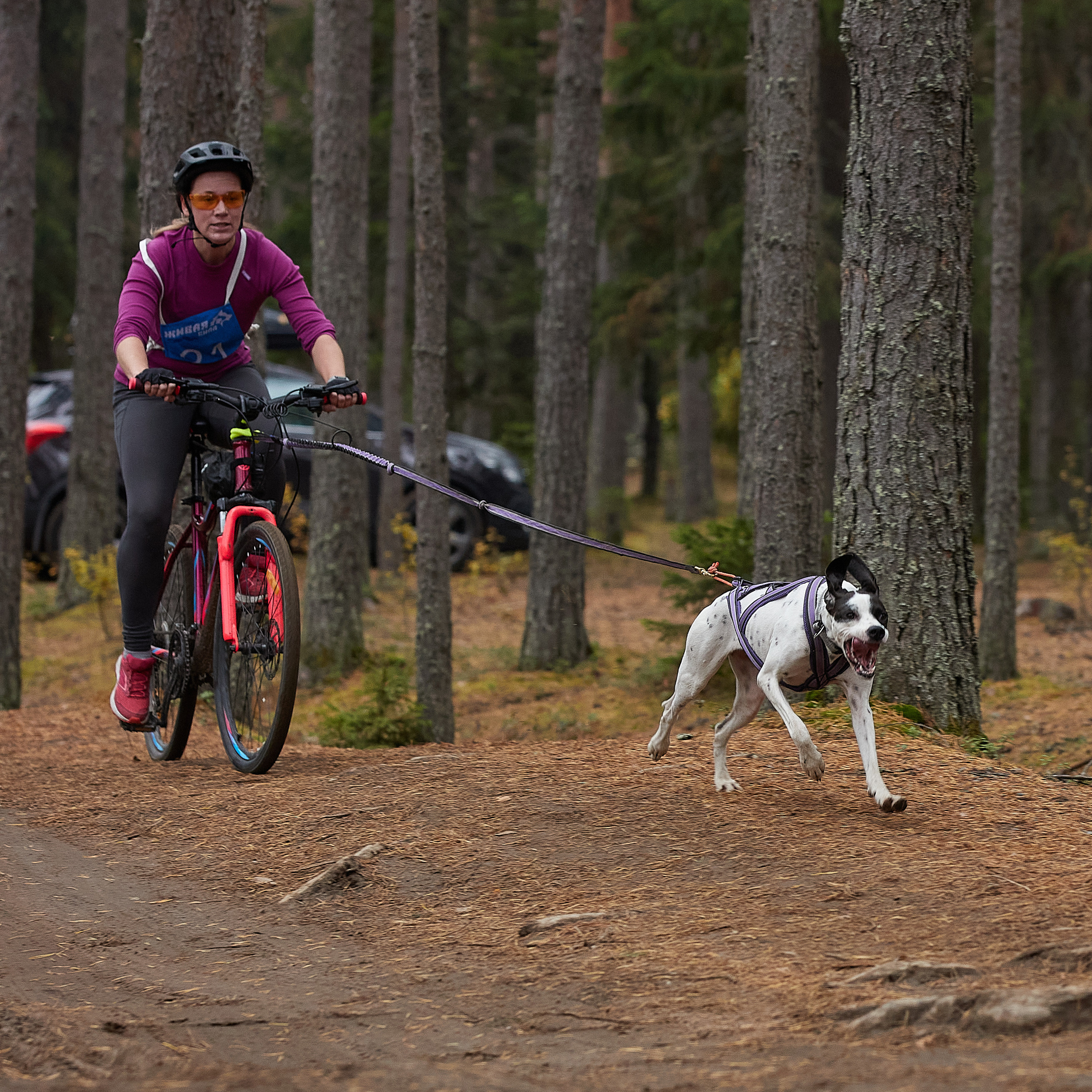 ЧЕМПИОНАТ РОССИИ РКФ 25–26 сентября 2021 г. ФОТОГРАФ-АНИМАЛИСТ l LANA POLYAKOVA