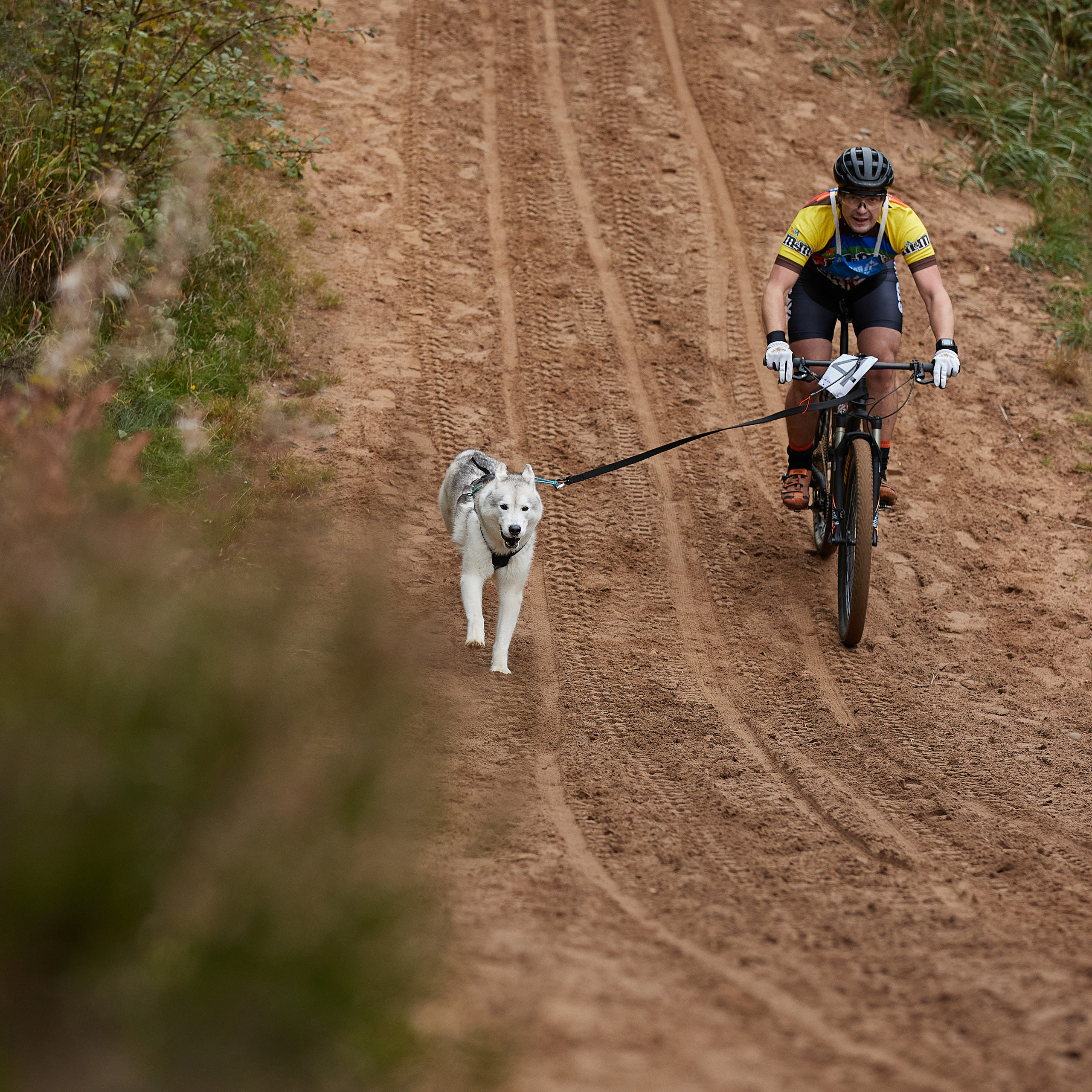 ЧЕМПИОНАТ РОССИИ РКФ 25–26 сентября 2021 г. ФОТОГРАФ-АНИМАЛИСТ l LANA POLYAKOVA