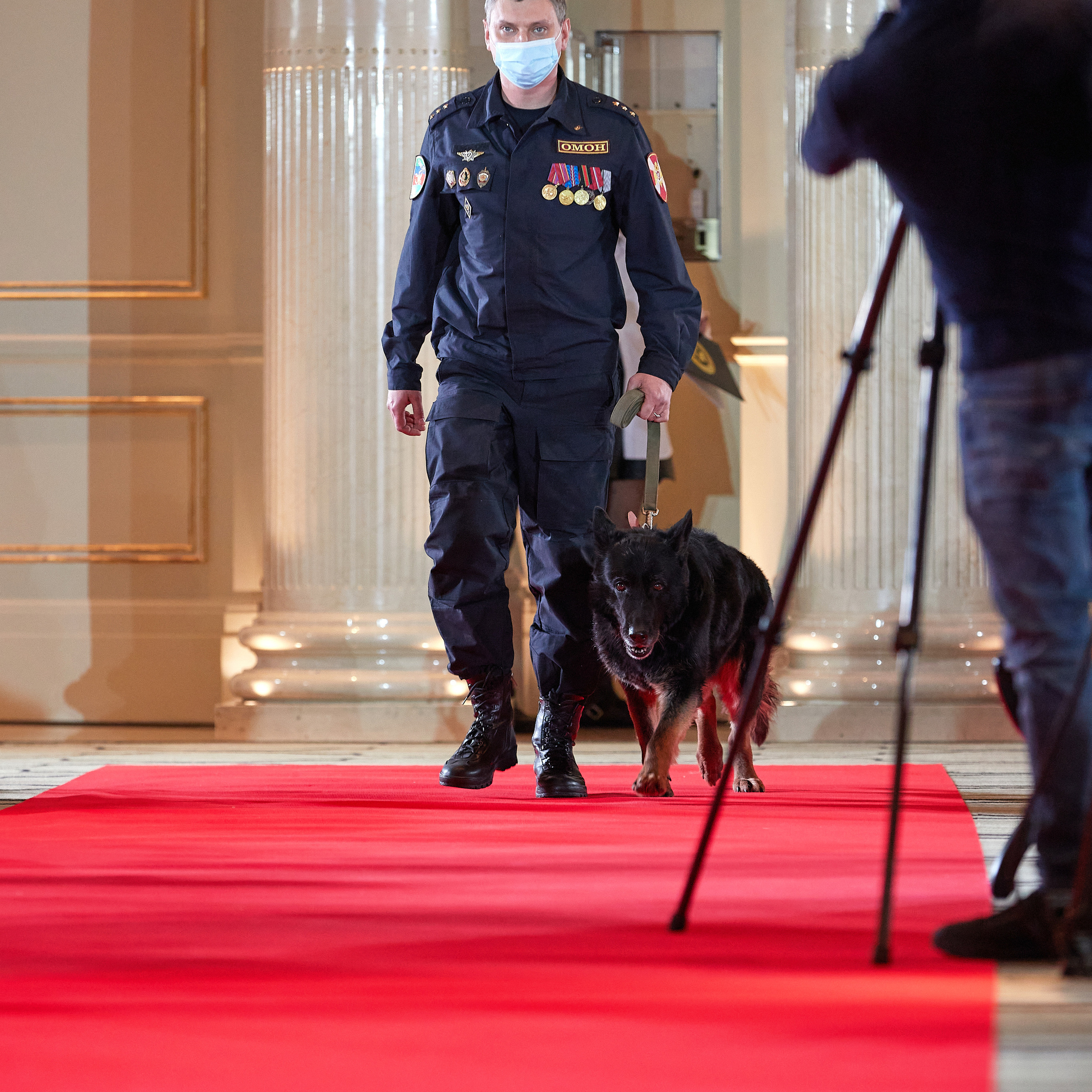 Репортаж с церемонии «BEST RUSSIAN DOG 2022». ФОТОГРАФ-АНИМАЛИСТ l LANA POLYAKOVA